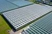 Venlo greenhouses 8,00 m 9.792 m²