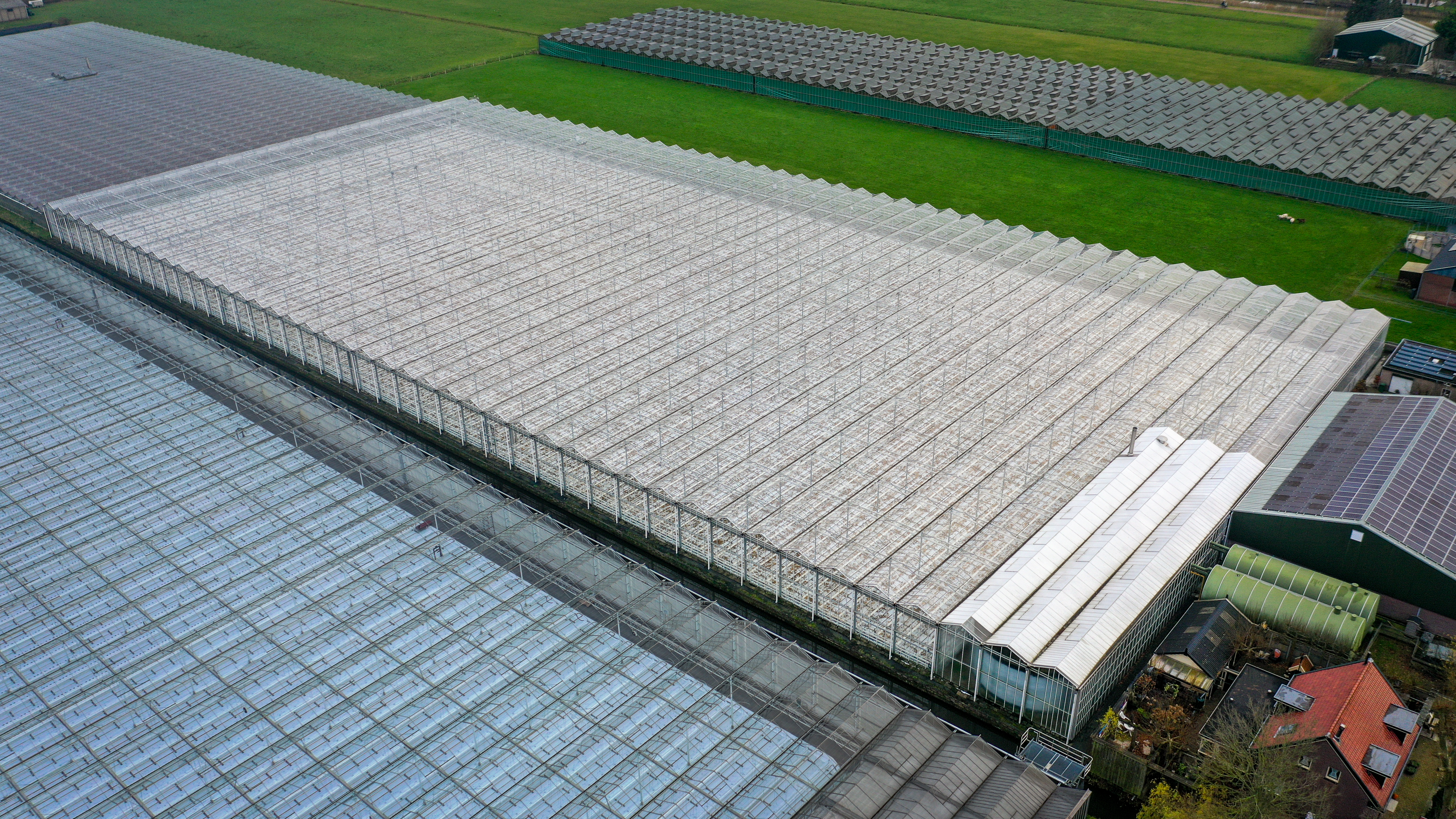 Venlo greenhouse 8,00 m 14.464 m²