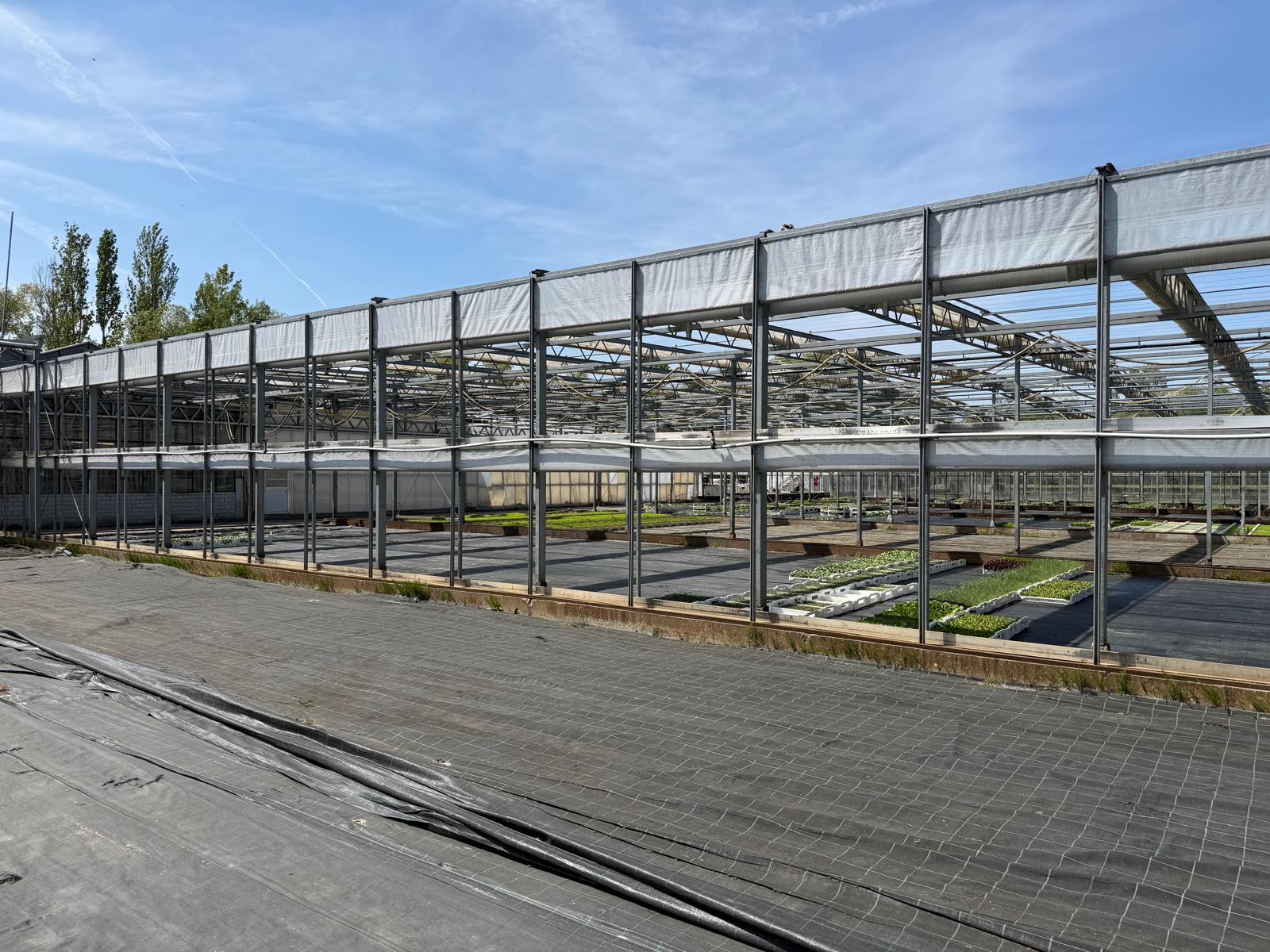 Shading greenhouse 7.517 m²