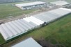 Widespan greenhouse 12.80 m 39.283 m²