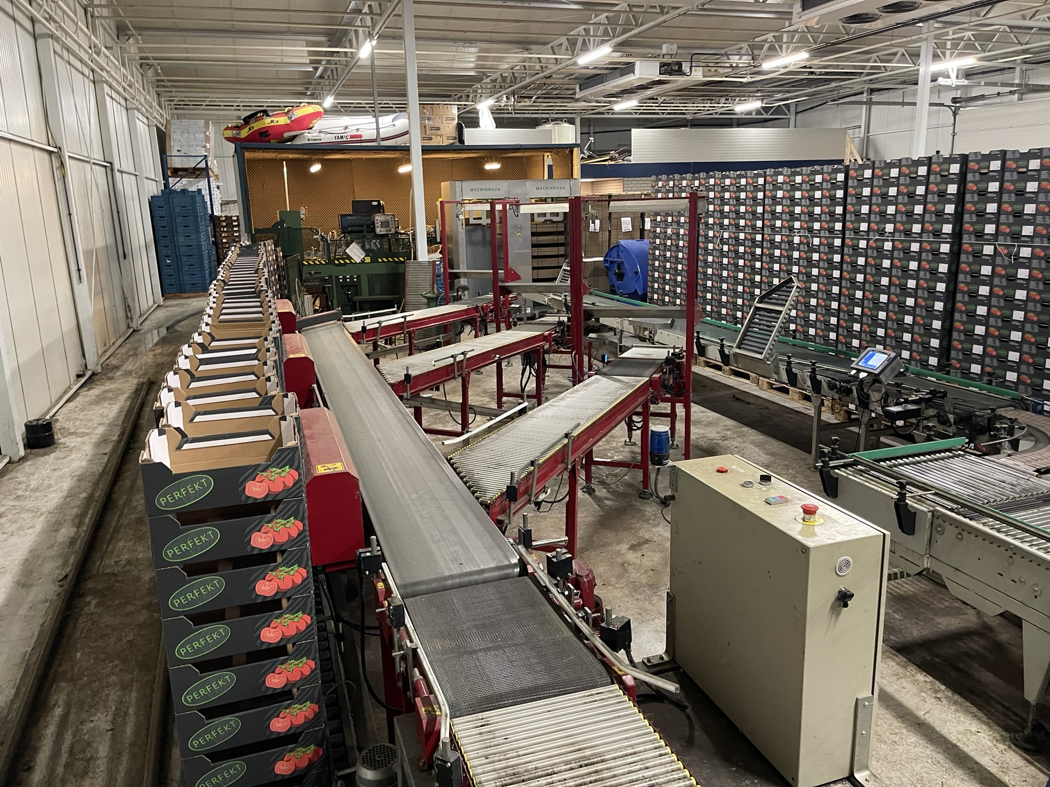 Complete Taks TTS vine tomato processing system