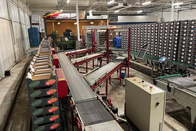 Compleet TAKS TTS trostomaten verwerkingssysteem