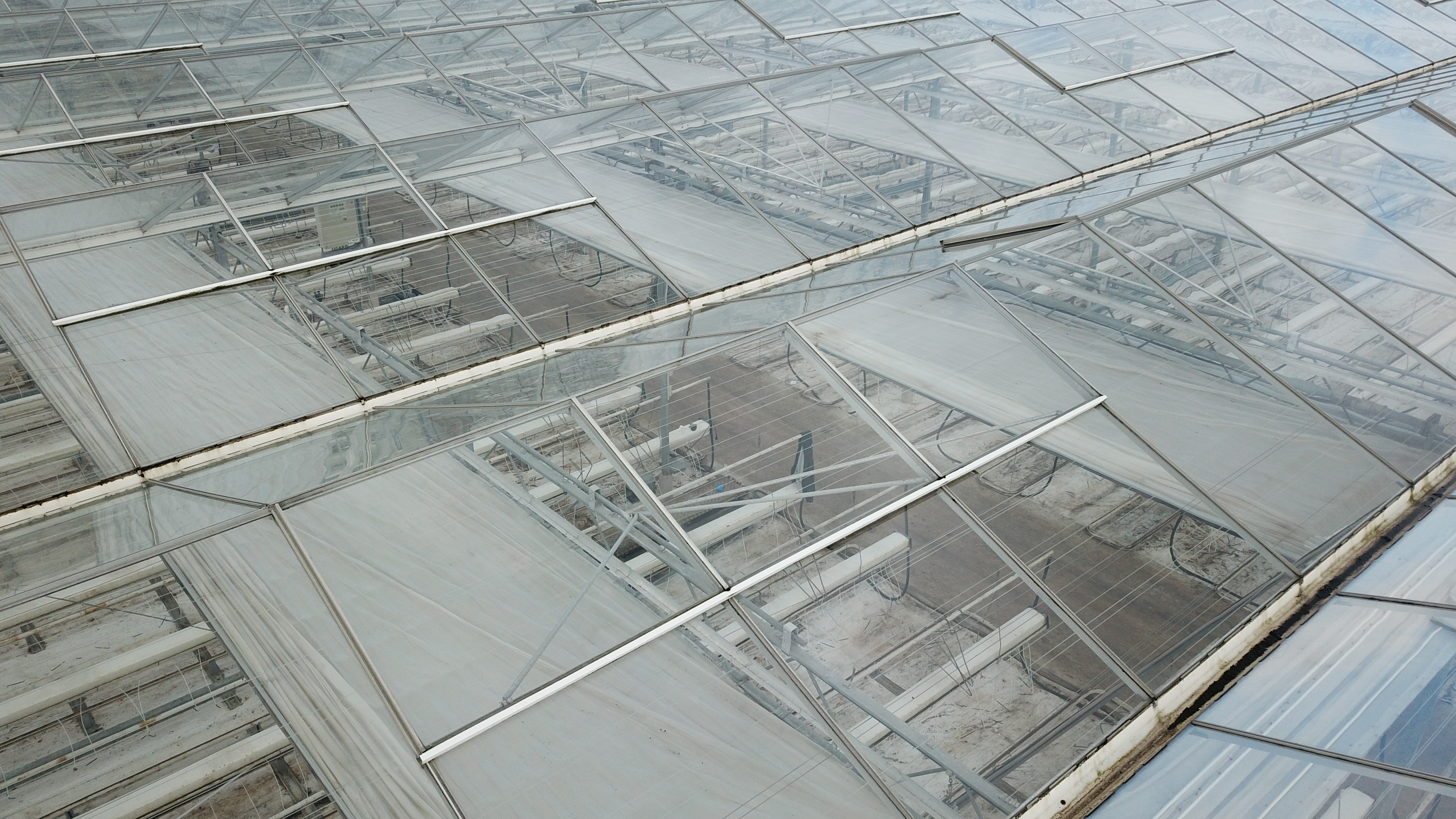 Venlo greenhouse 8,00 m 9.936 m²