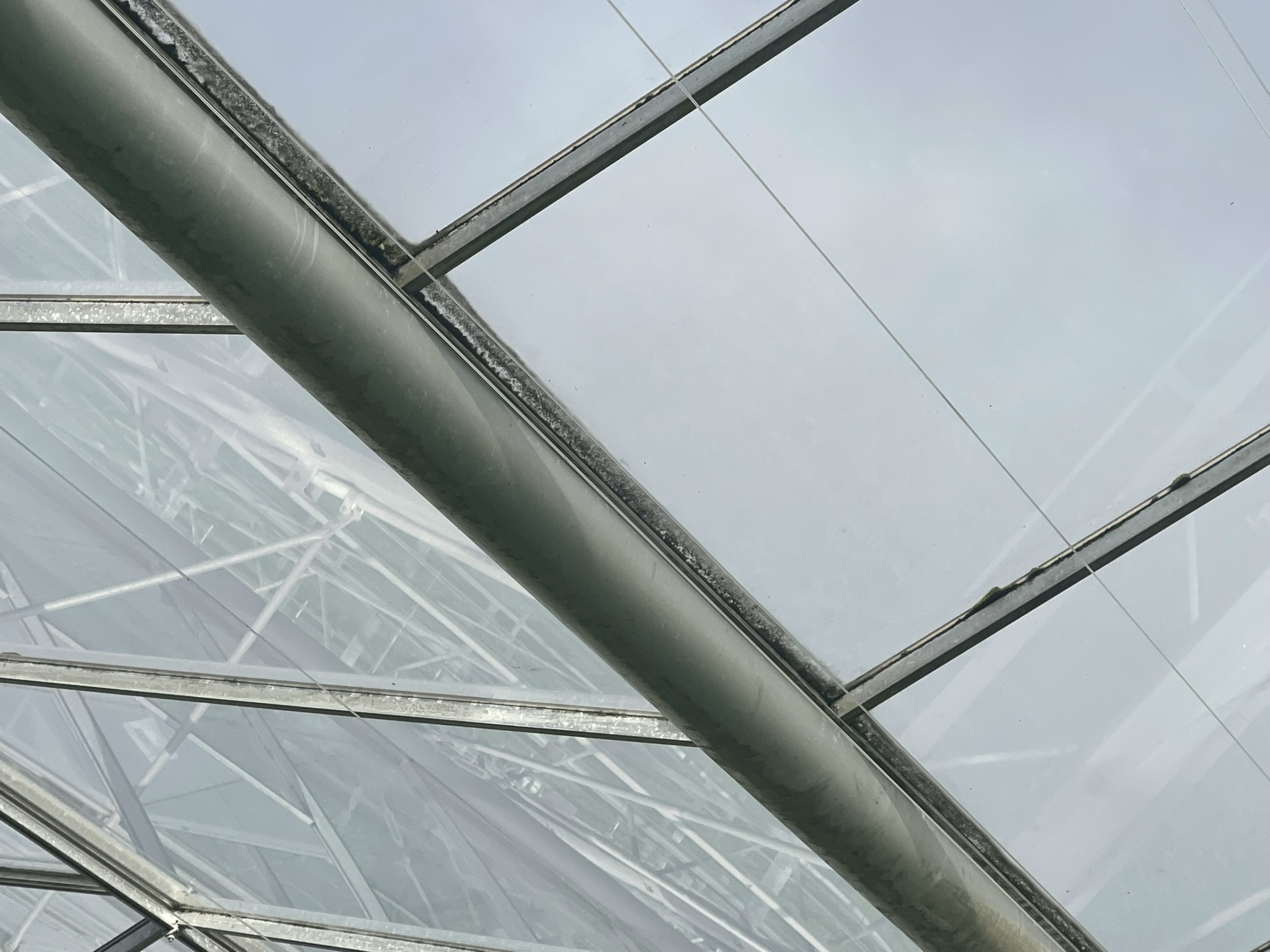 Venlo kas 6,40 m 16.333 m²