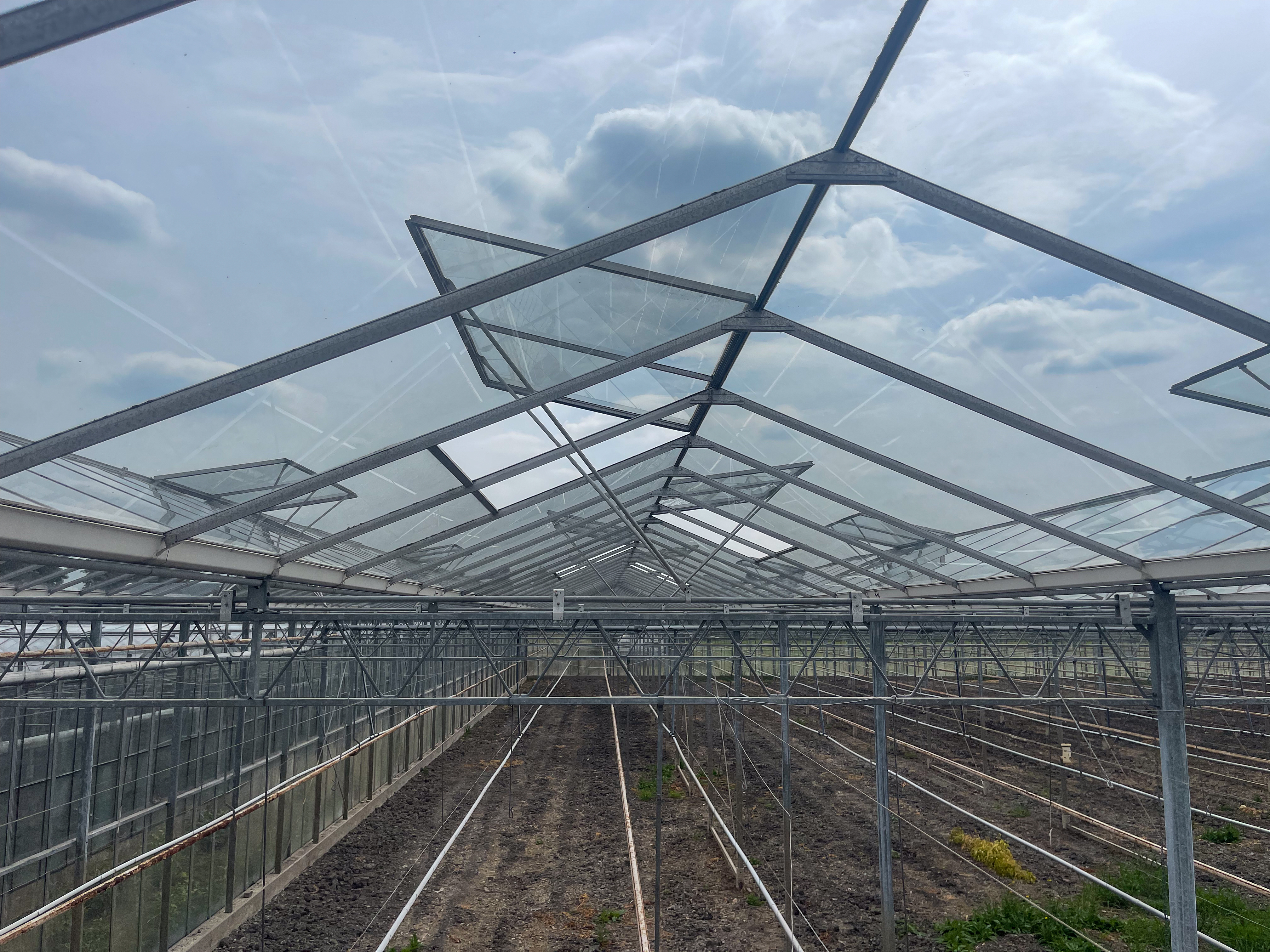 Venlo greenhouse 8,00 m 7.506 m²