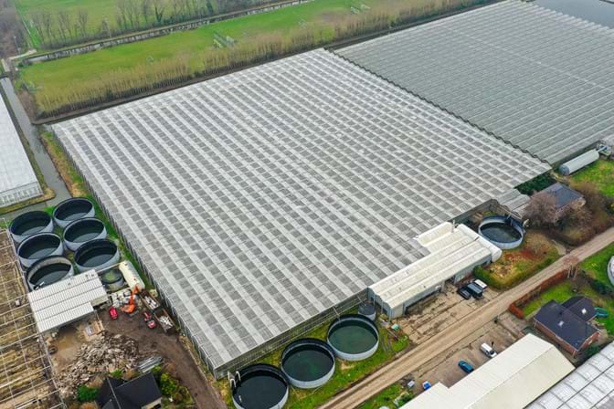 Venlo greenhouse 8,00 m 18.276 m²