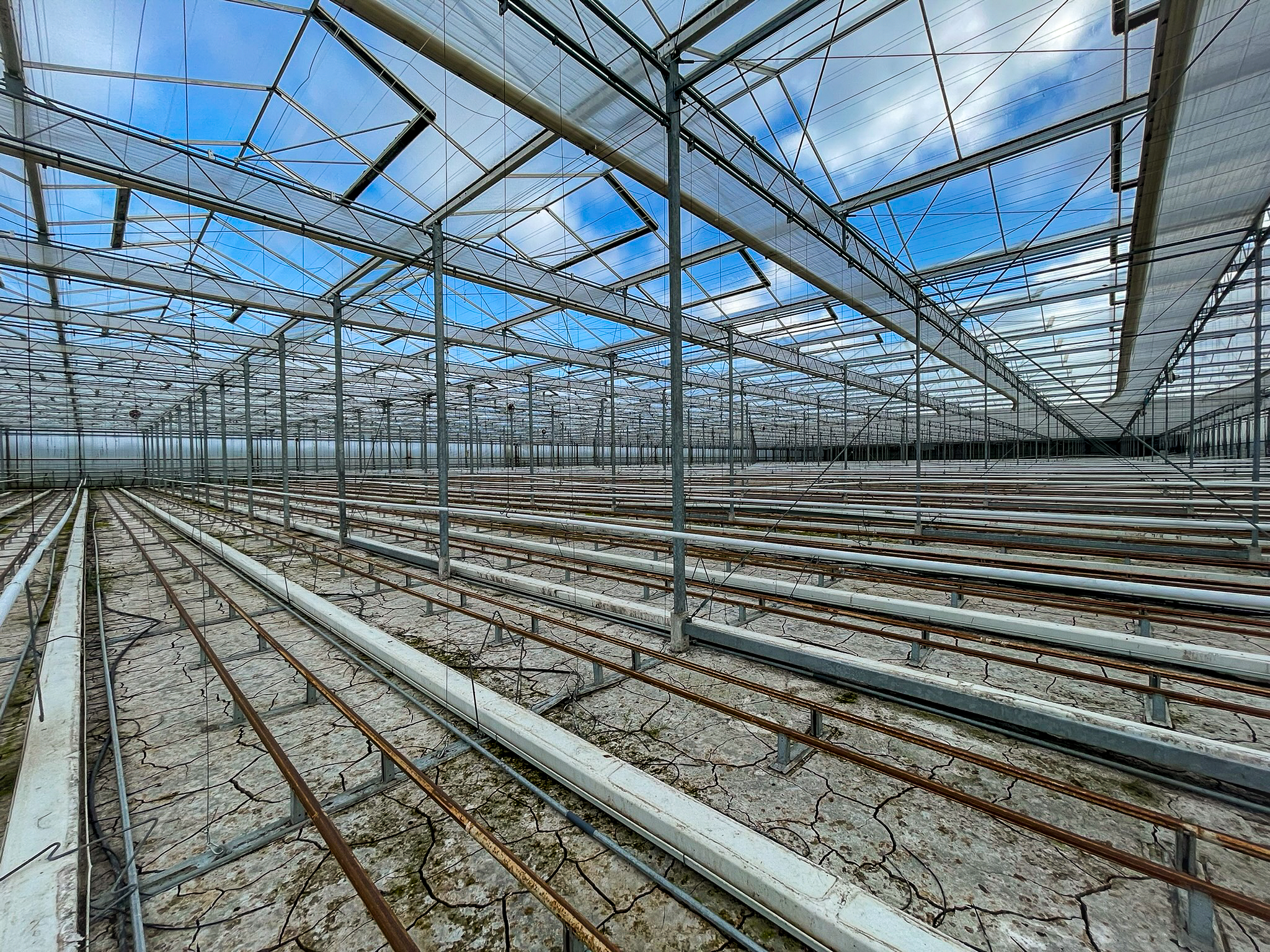 Venlo greenhouse 8,00m 17.100 m²