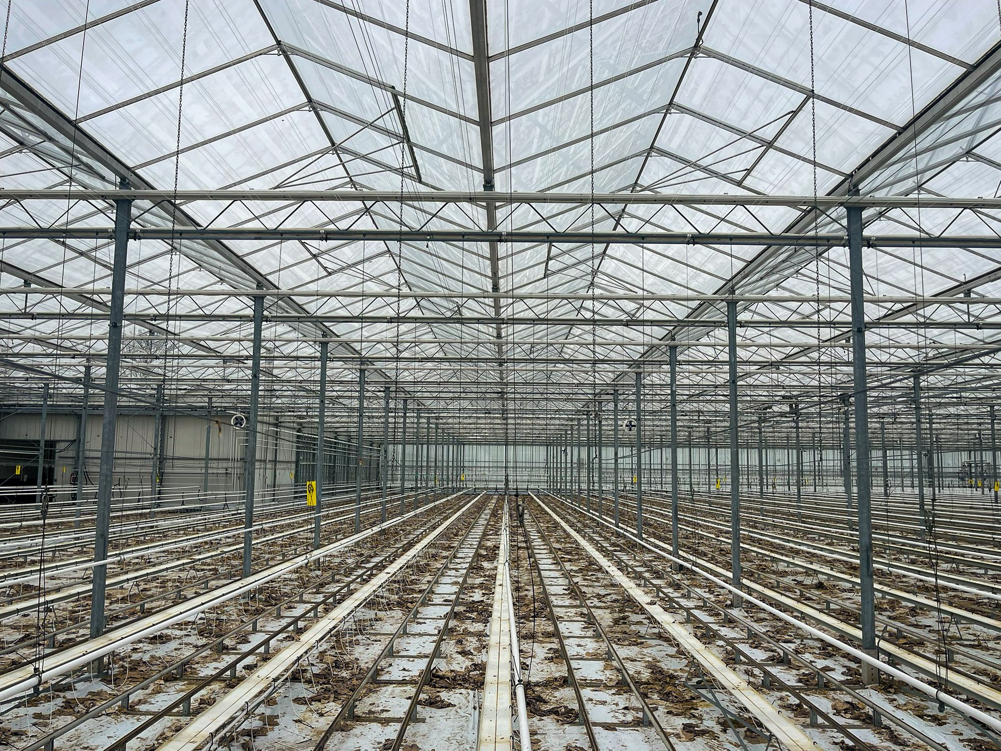 Venlo greenhouse 8,00 m 14.464 m²
