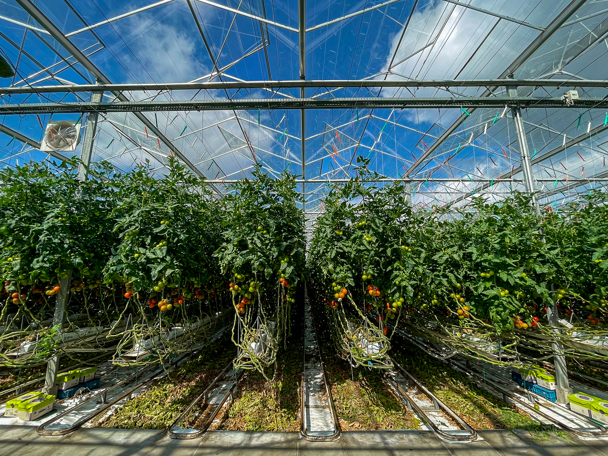 Venlo kas 8,00 m 40.752 m²