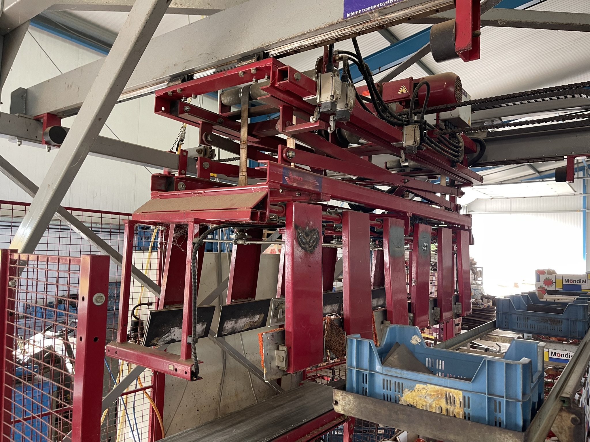Complete Taks TTS vine tomato processing system + palletizing installation