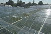 Venlo greenhouse 8,00 m 2.750 m²