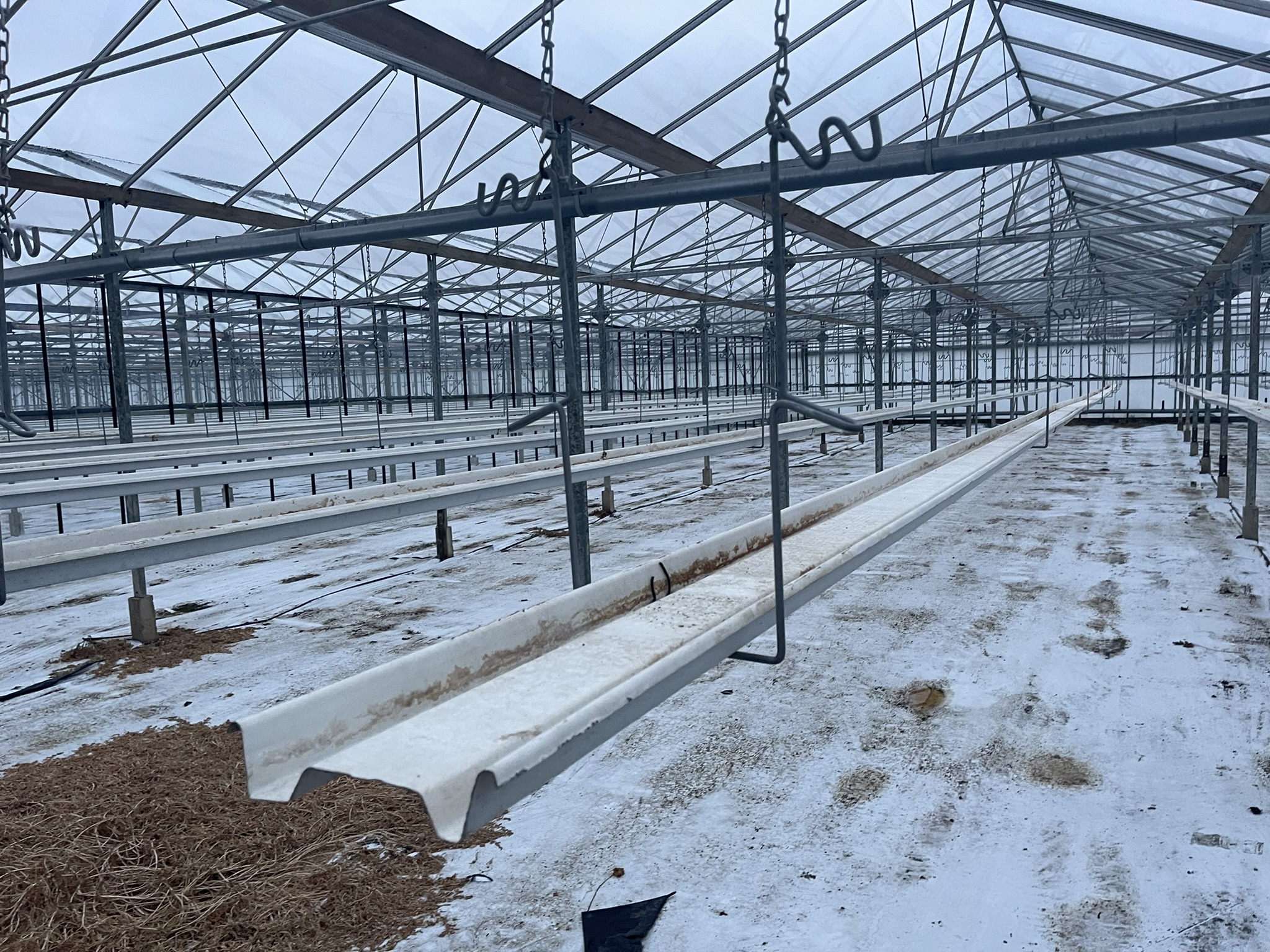 Complete strawberry cultivation system