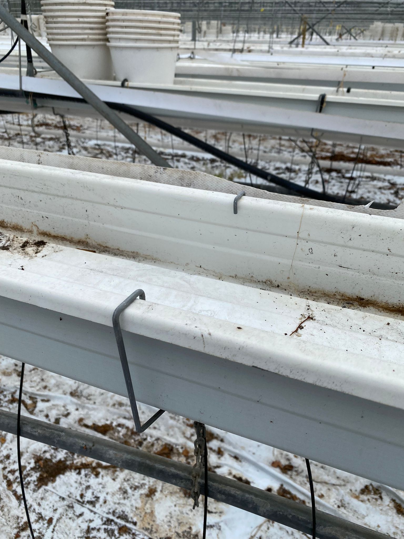 Compleet aardbeien teeltsysteem