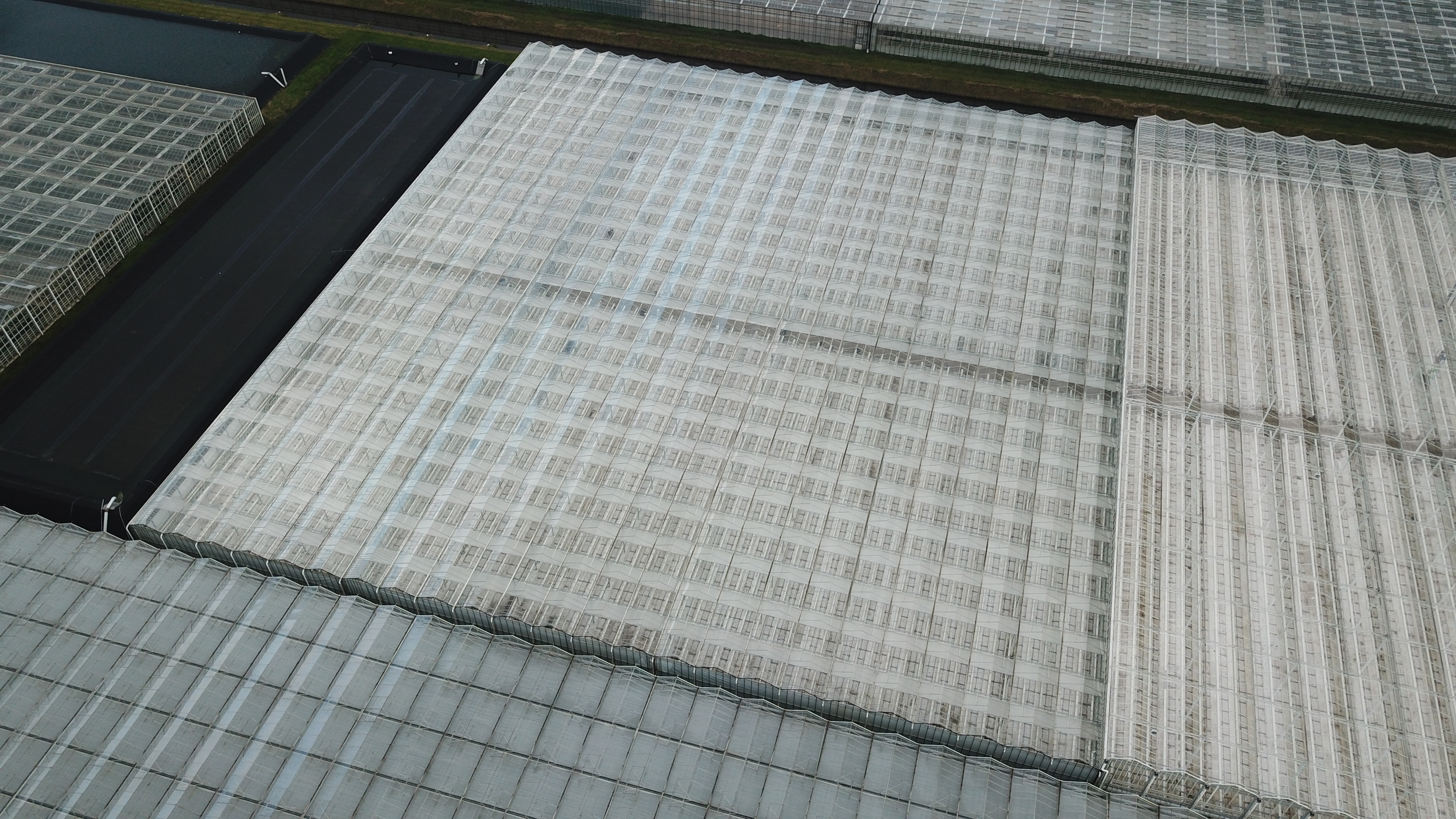 Venlo greenhouse 8,00 m 9.936 m²