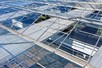 Venlo greenhouses 8,00 m 9.792 m²