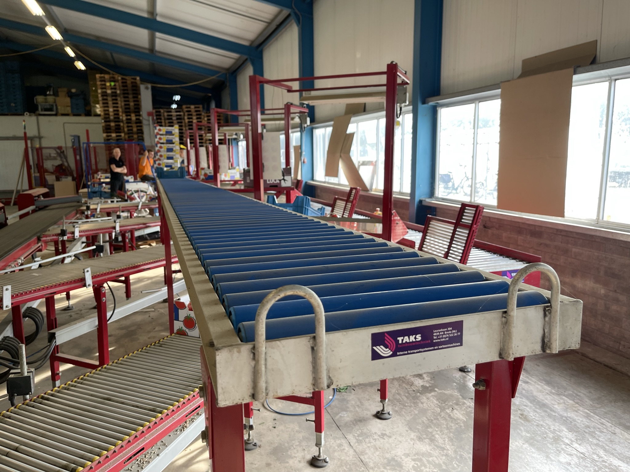 Complete Taks TTS vine tomato processing system + palletizing installation