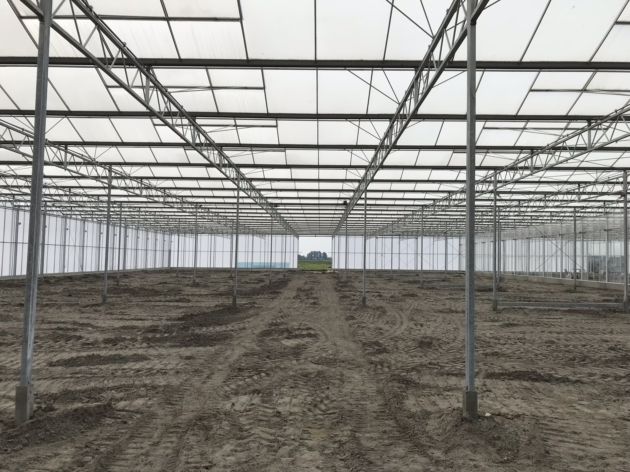 Venlo greenhouse 12,80 m 7.770 m²