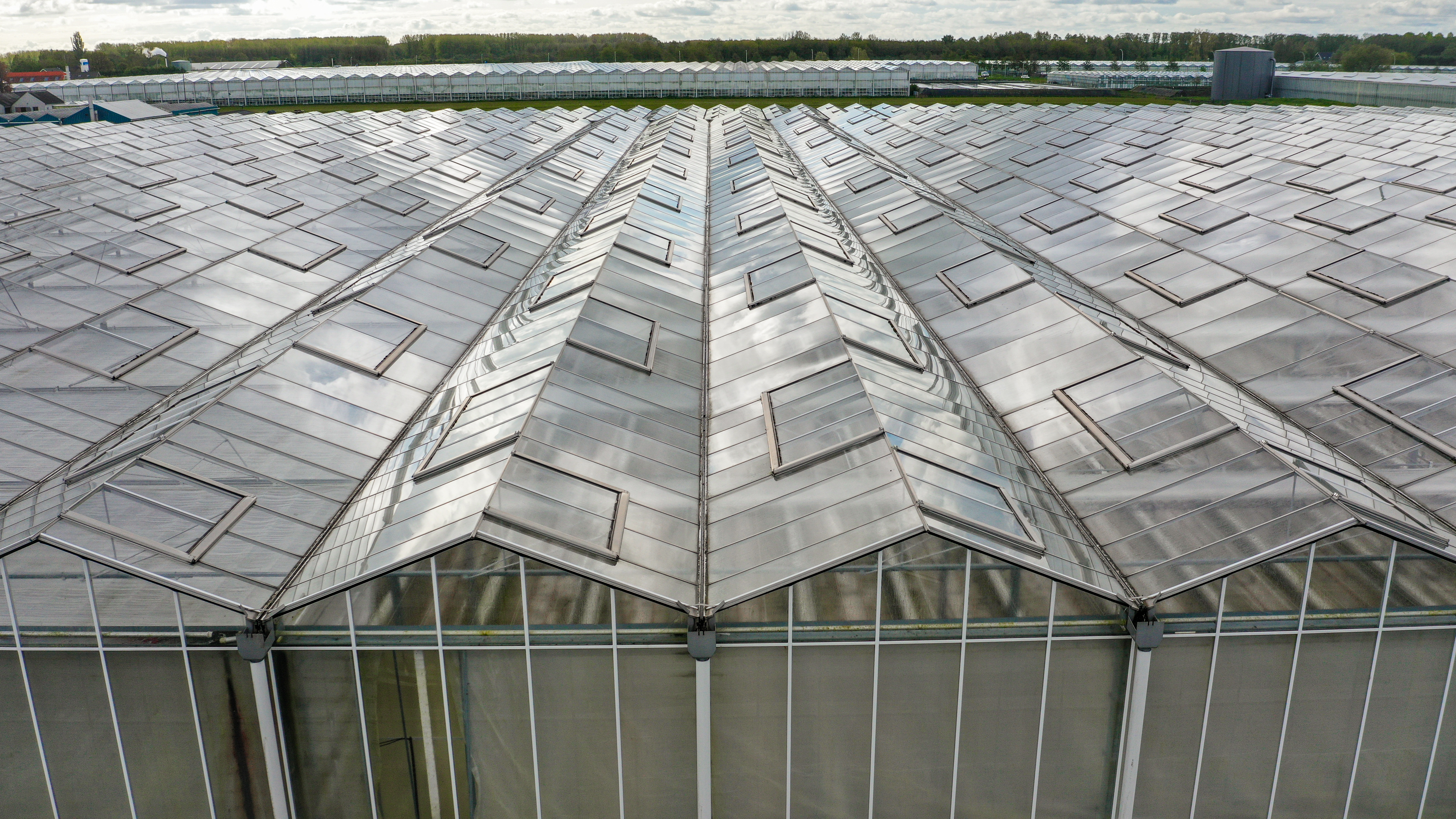 Venlo greenhouse 8,00m 17.100 m²