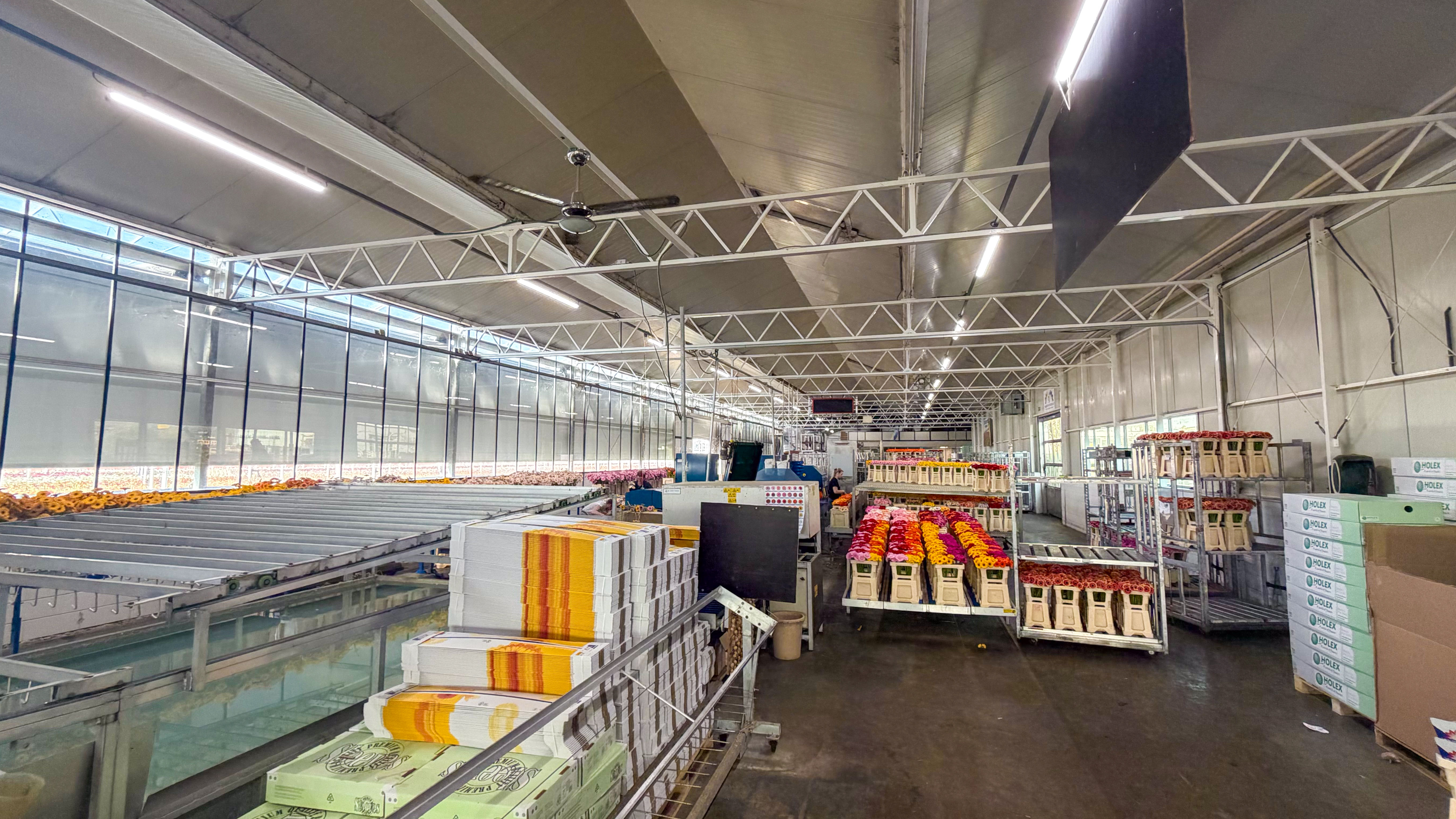 Business space 748 m²