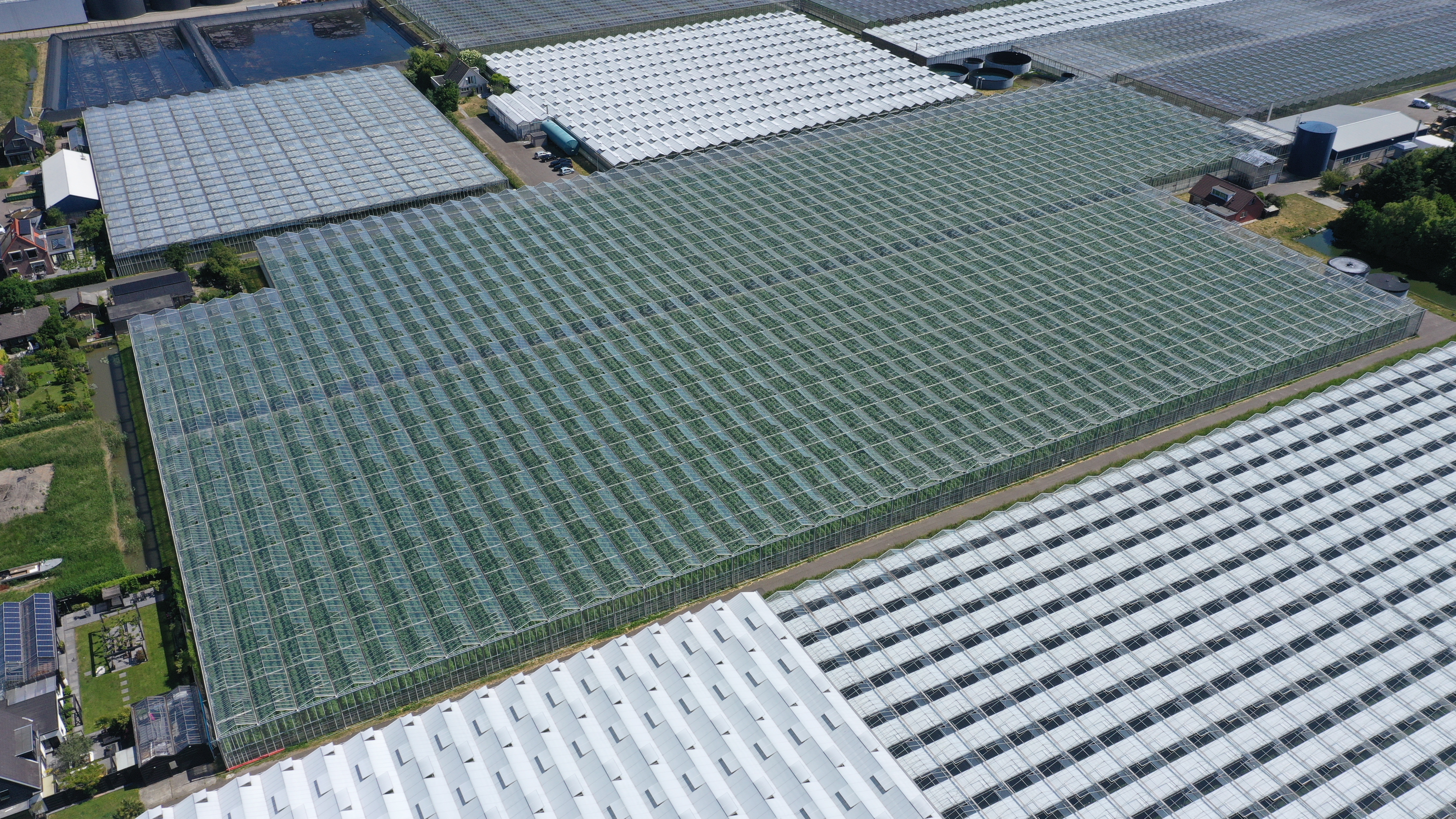 Venlo greenhouse 8,00 m 25.922 m²