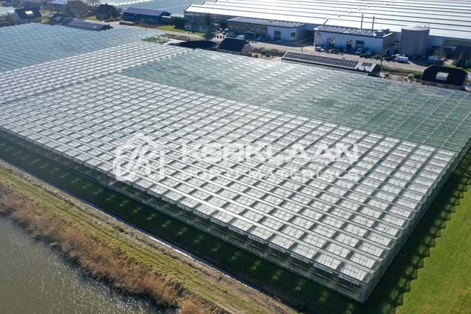 Venlo greenhouse 6,40m 11.251 m²