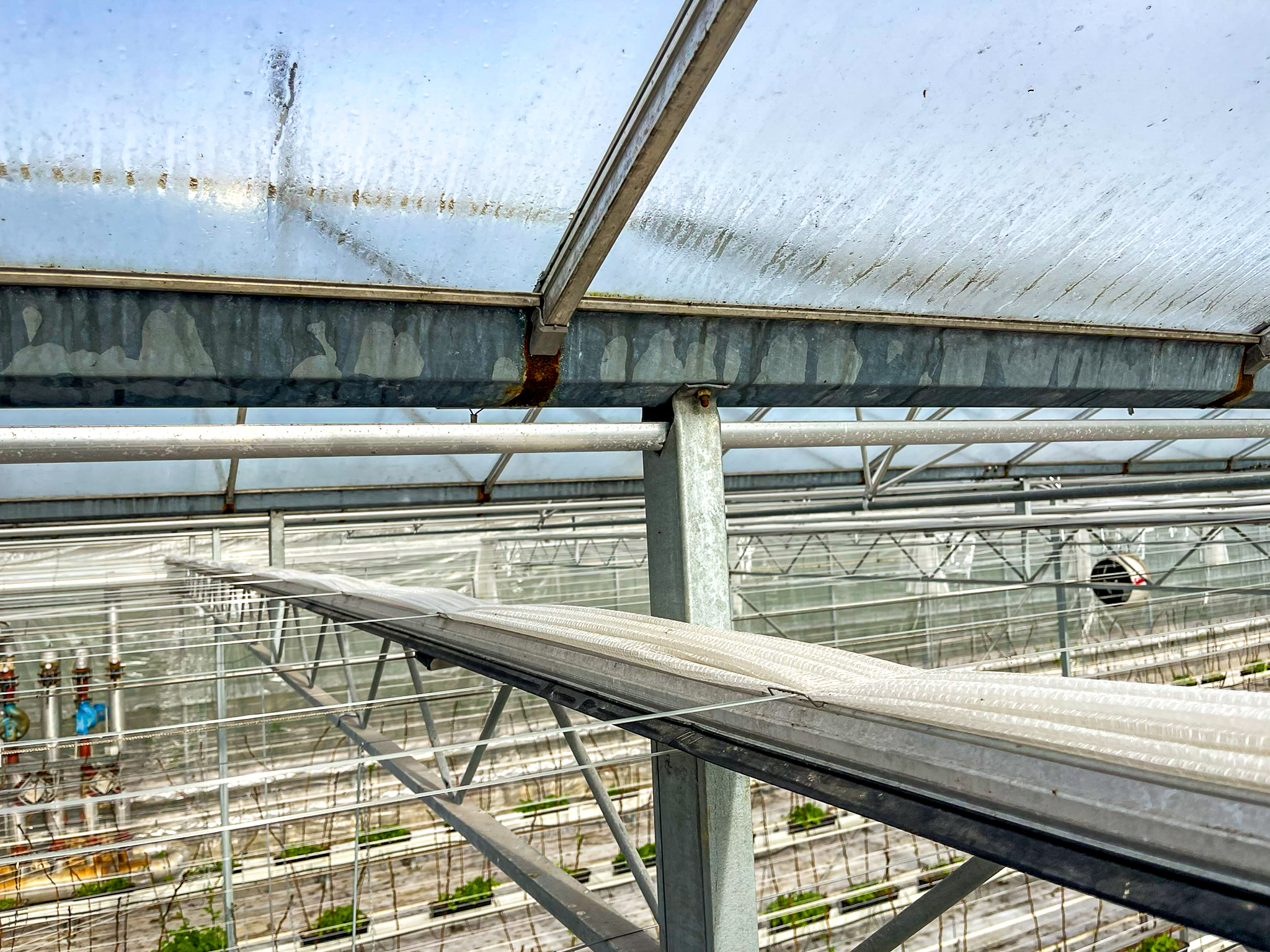Venlo greenhouse 6.40 m 24.371 m²