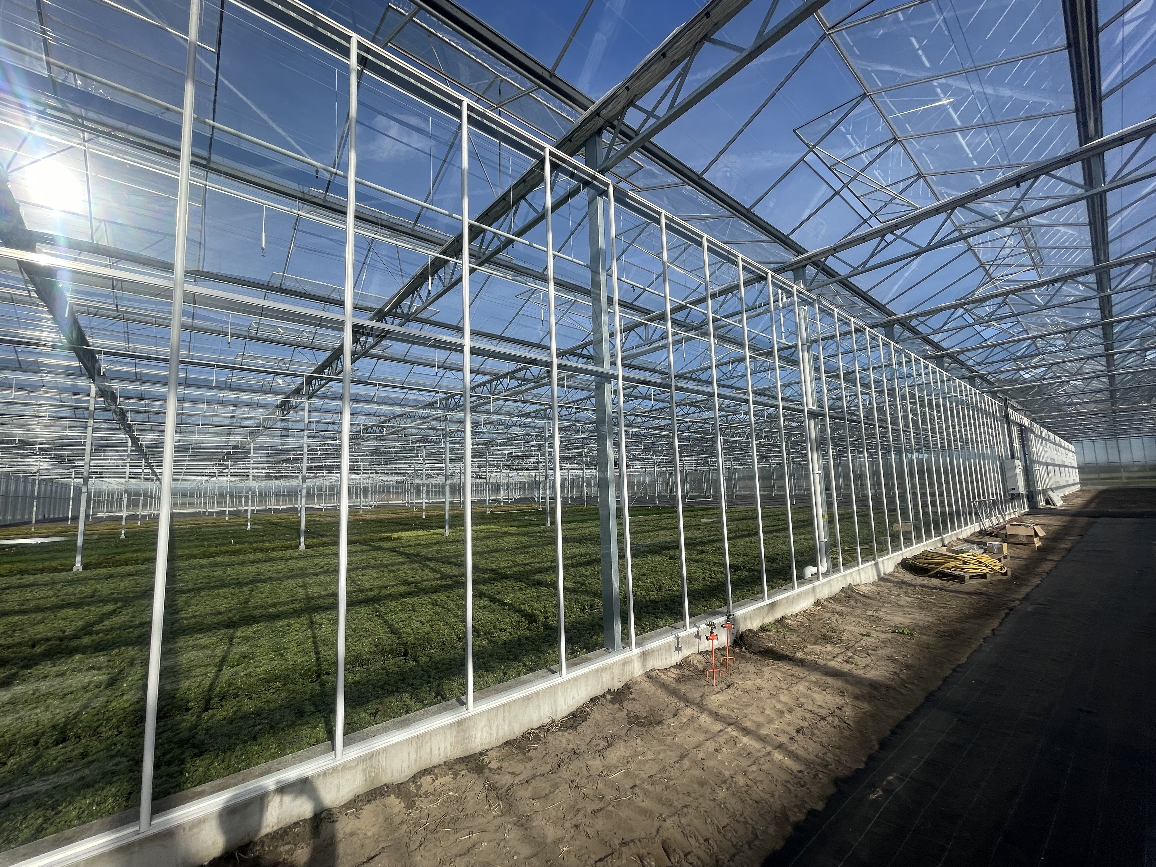 Venlo greenhouse 12,80 m 9.331 m²