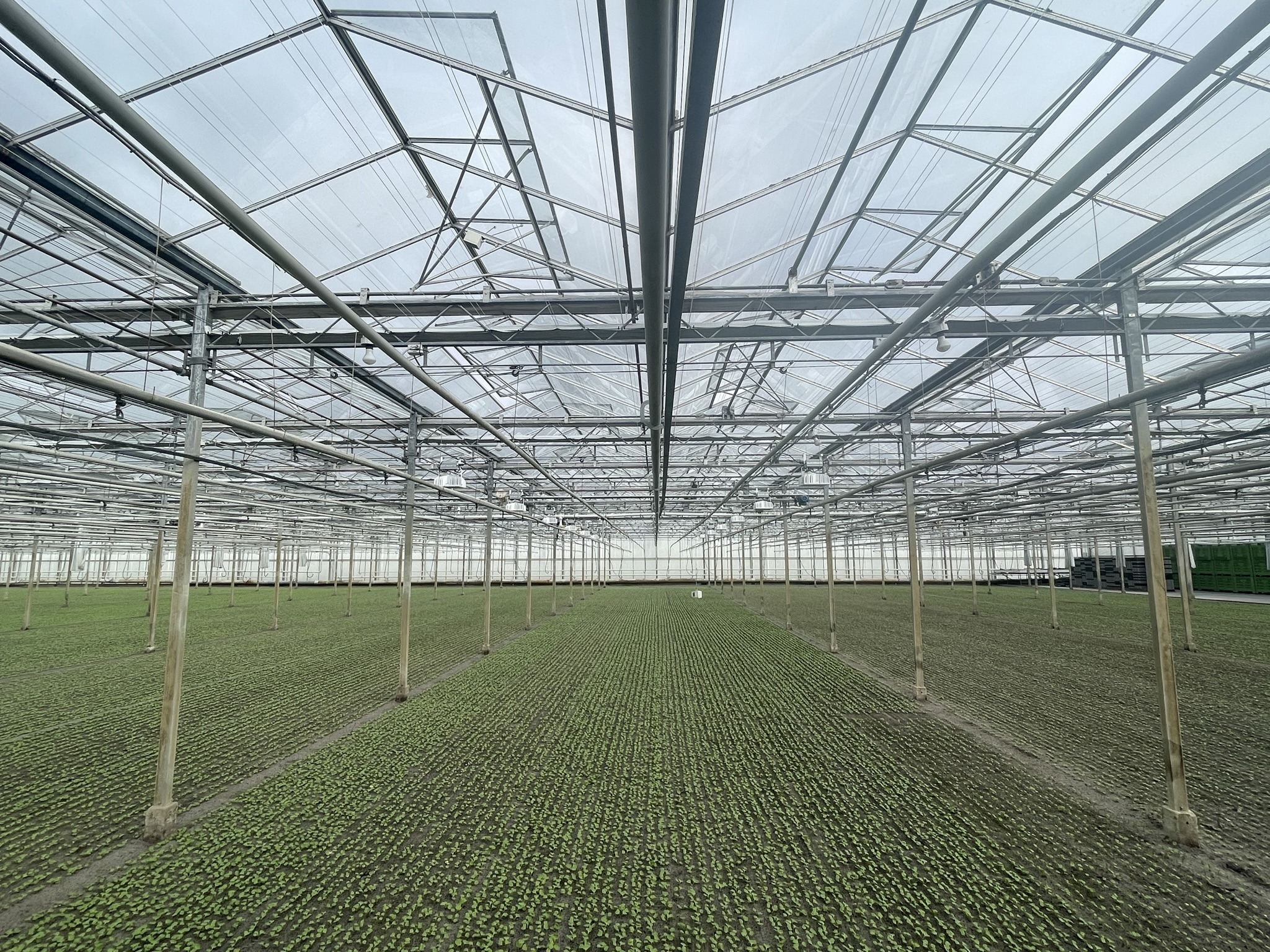 Venlo kas 6,40 m 18.841 m²