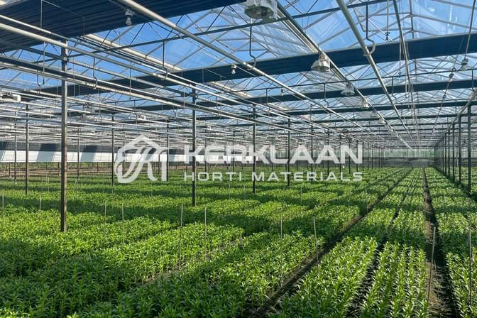 Venlo greenhouses 8,00 m 9.792 m²