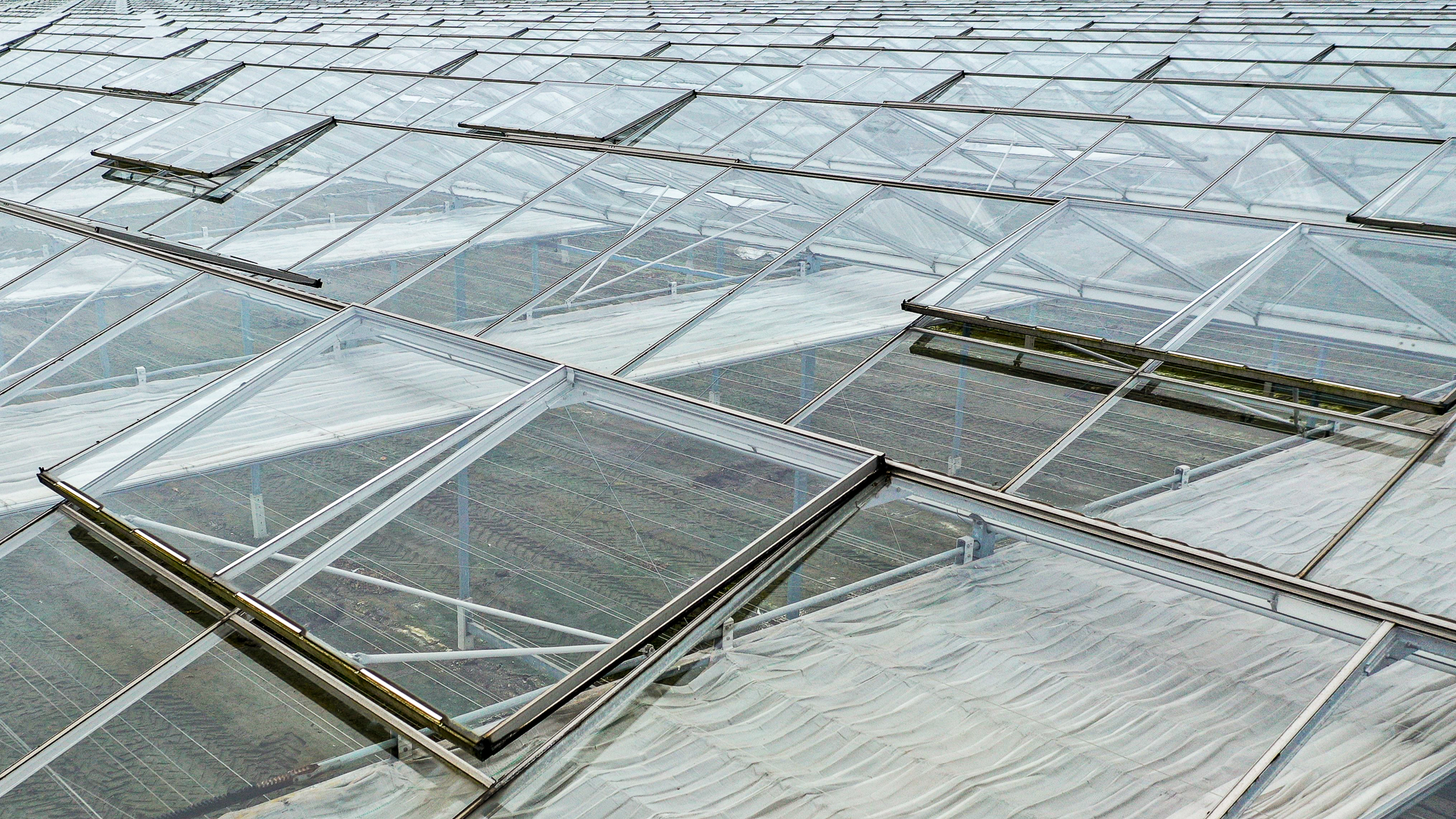 Venlo greenhouse 8,00 m 18.276 m²