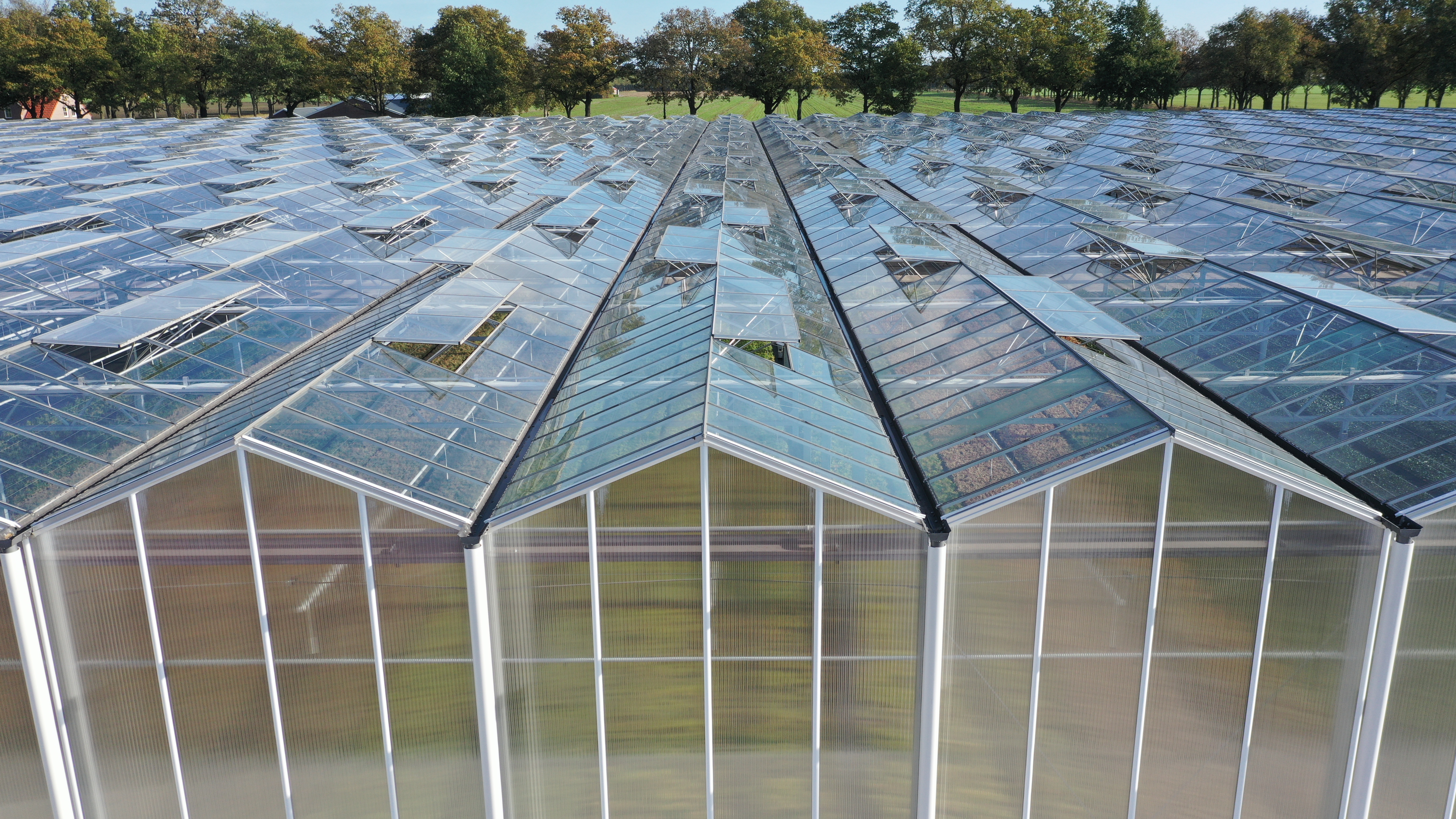 Venlo greenhouse 12,80 m 9.331 m²
