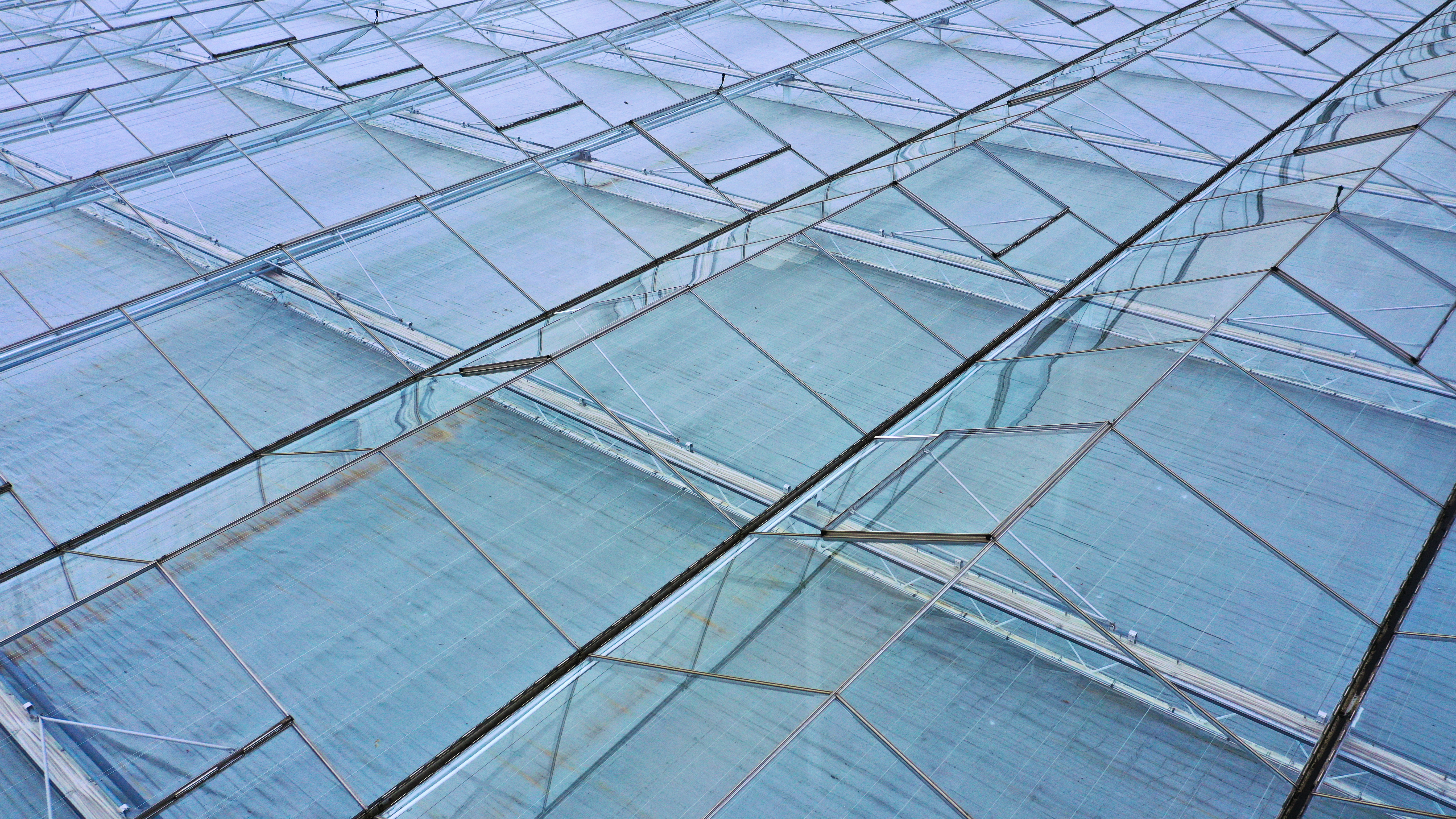 Venlo greenhouse 8.00 m 14.960 m²