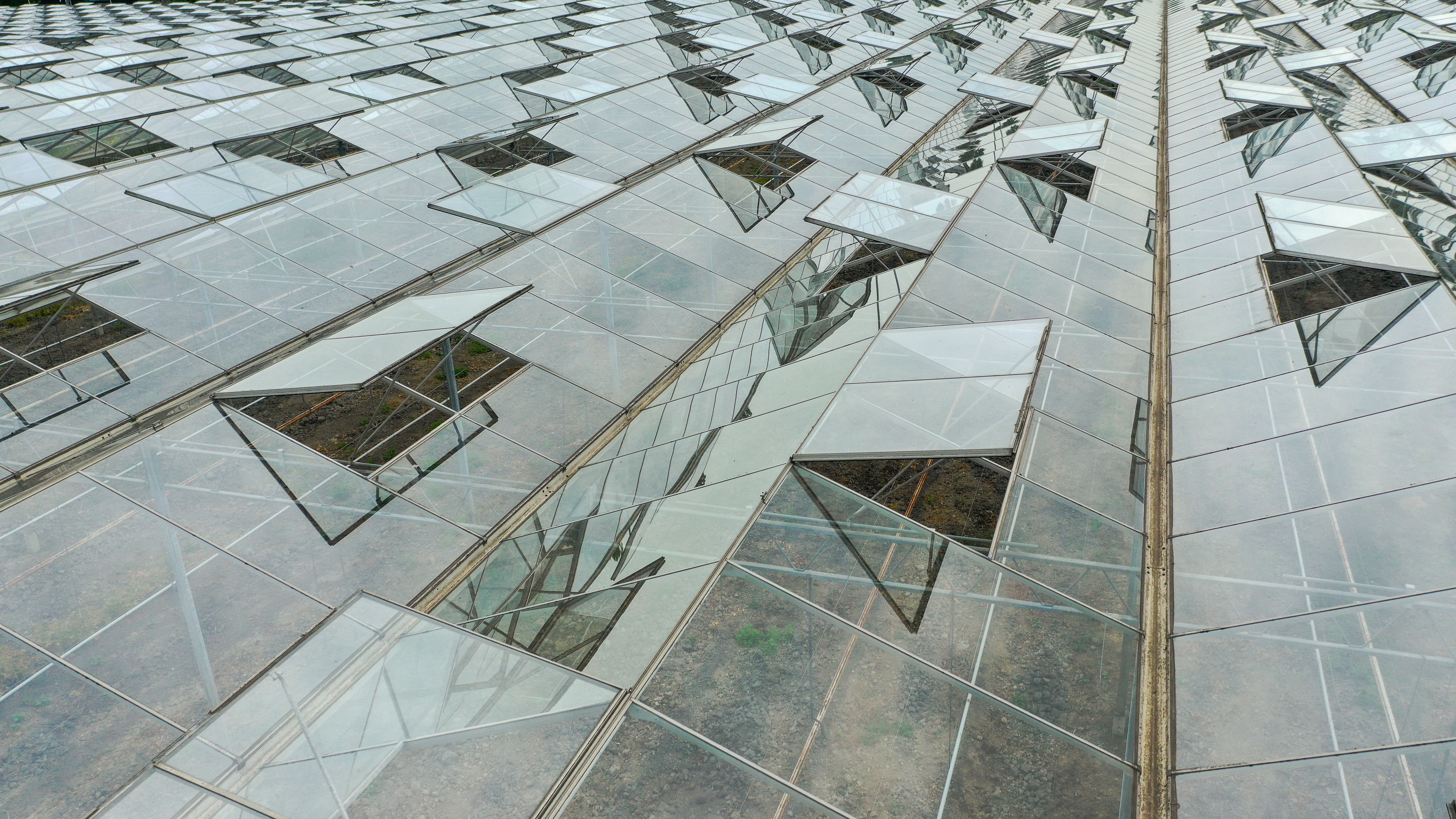 Venlo greenhouse 8,00 m 7.506 m²