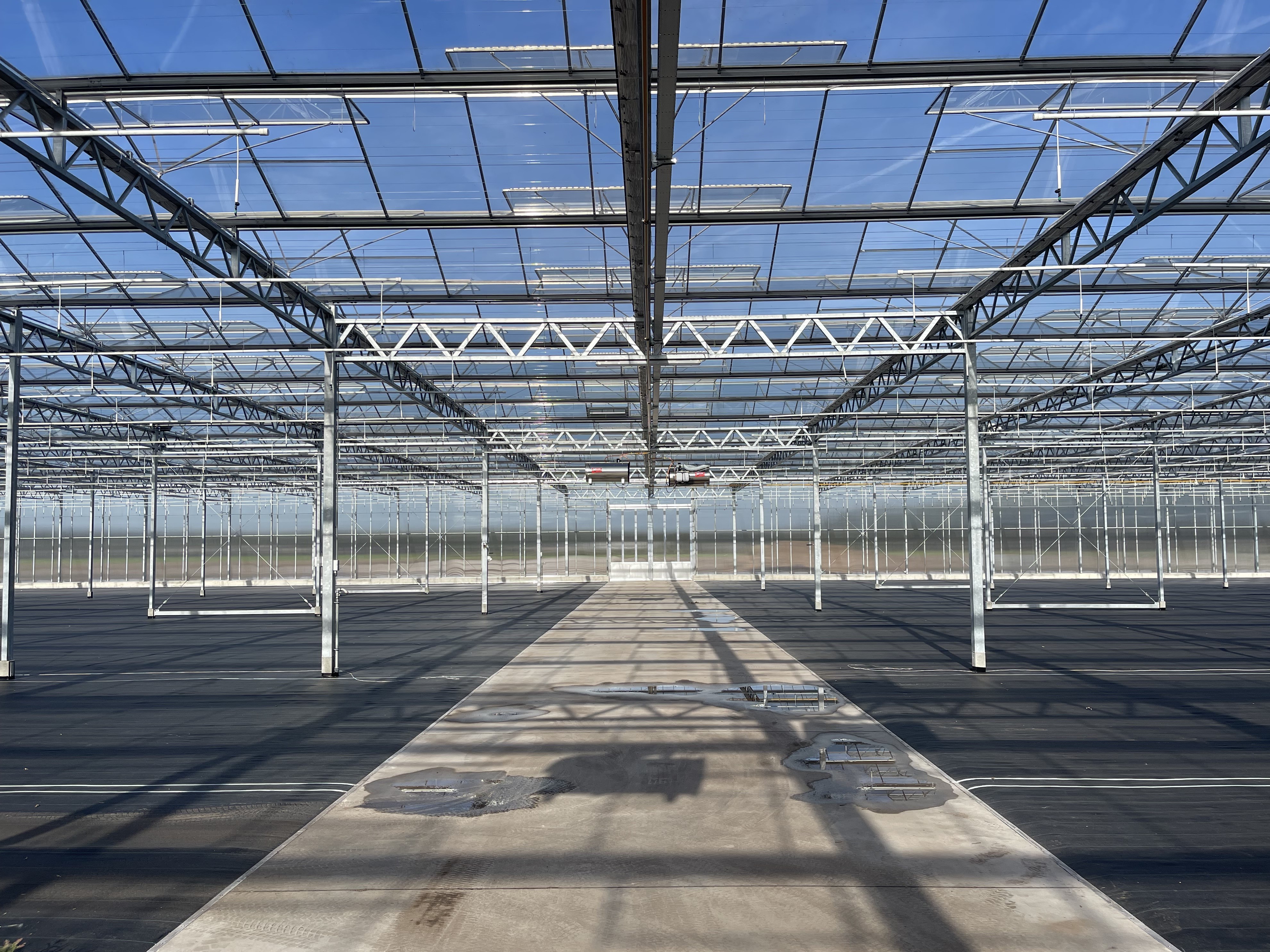 Venlo greenhouse 12,80 m 9.331 m²
