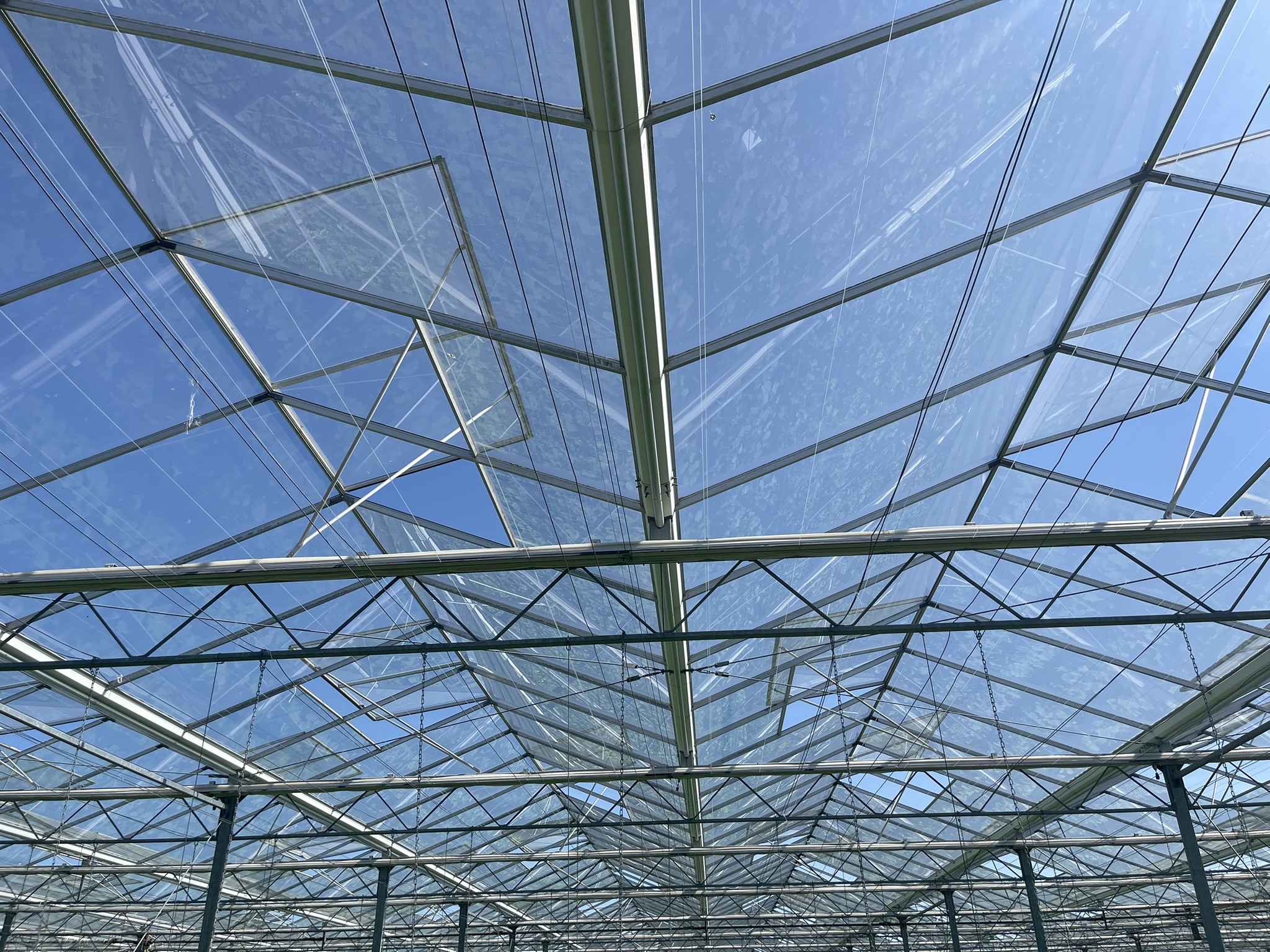 Venlo greenhouse 8,00 m 25.922 m²