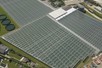 Venlo Greenhouse 8,00 m 10.448 m²