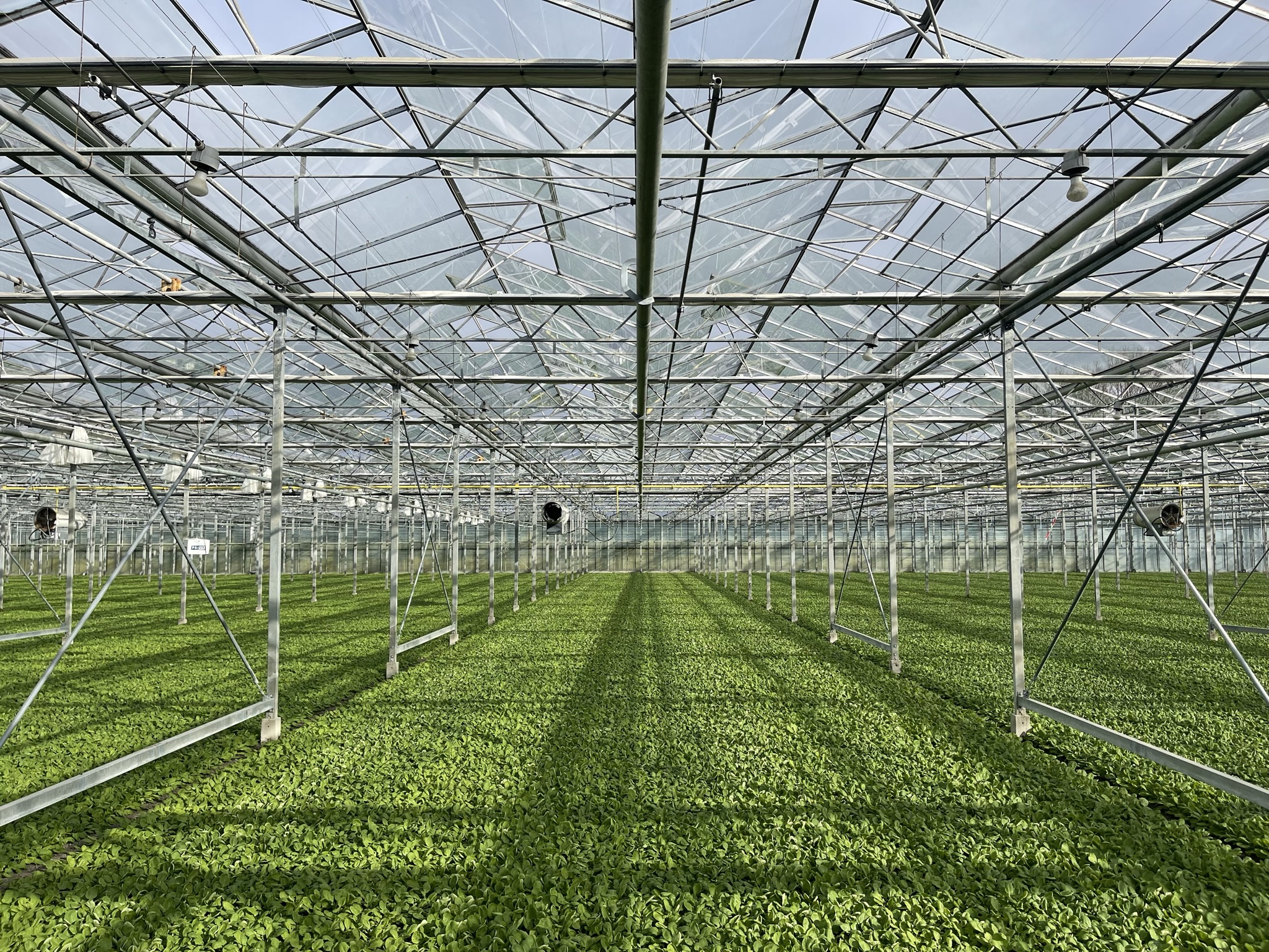 Venlo kas 6,40 m 16.333 m²