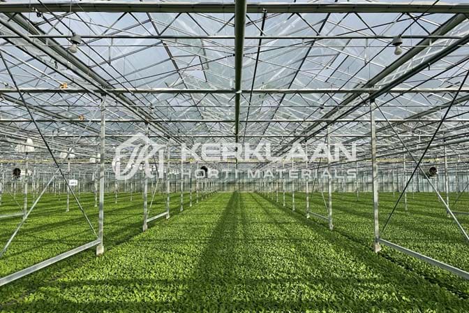 Venlo greenhouse 6,40 m 16.333 m²