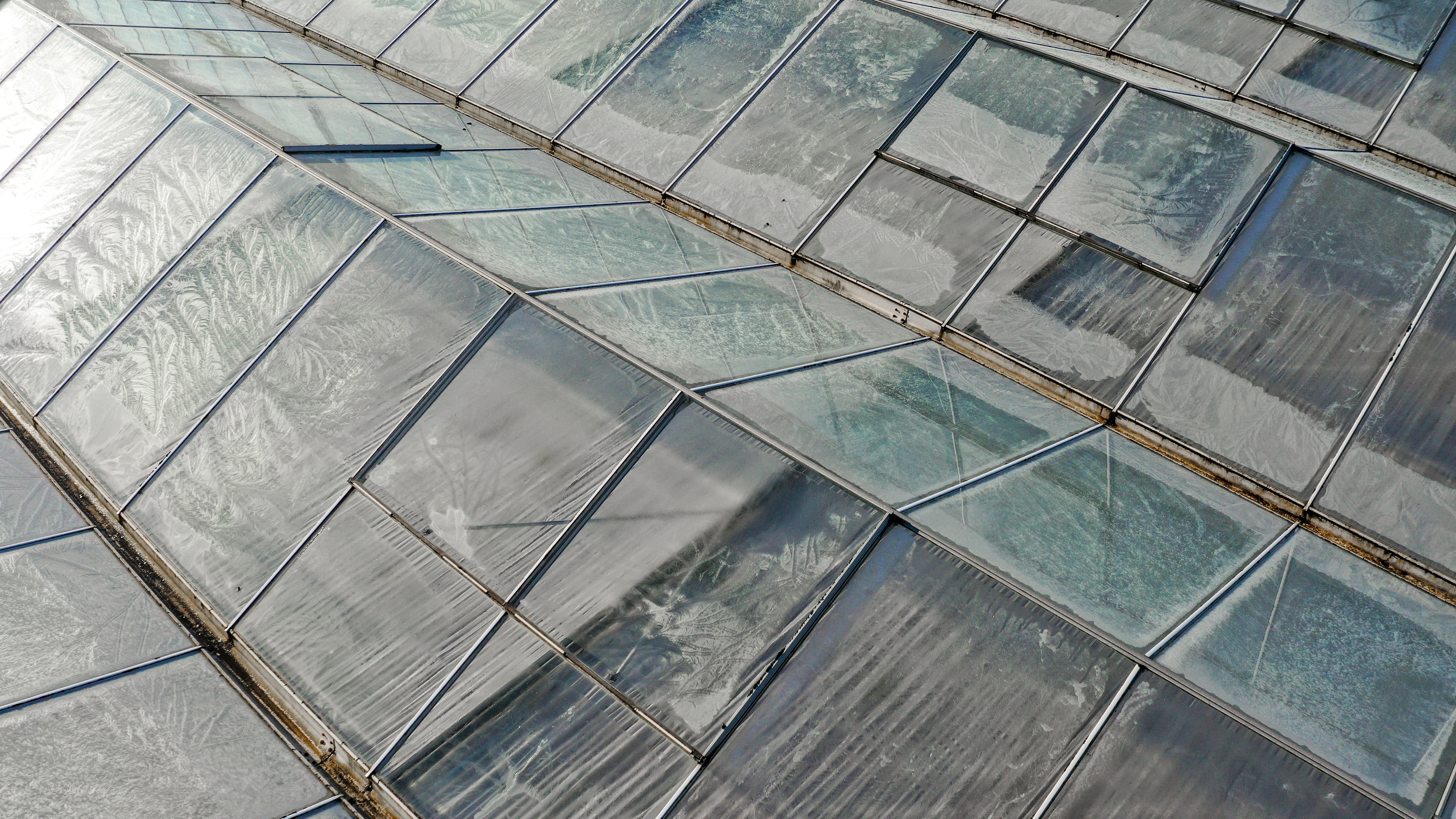 Venlo kas 8,00 m 22.248 m²