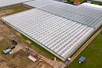 Venlo greenhouse 8,00 m 9.918 m²