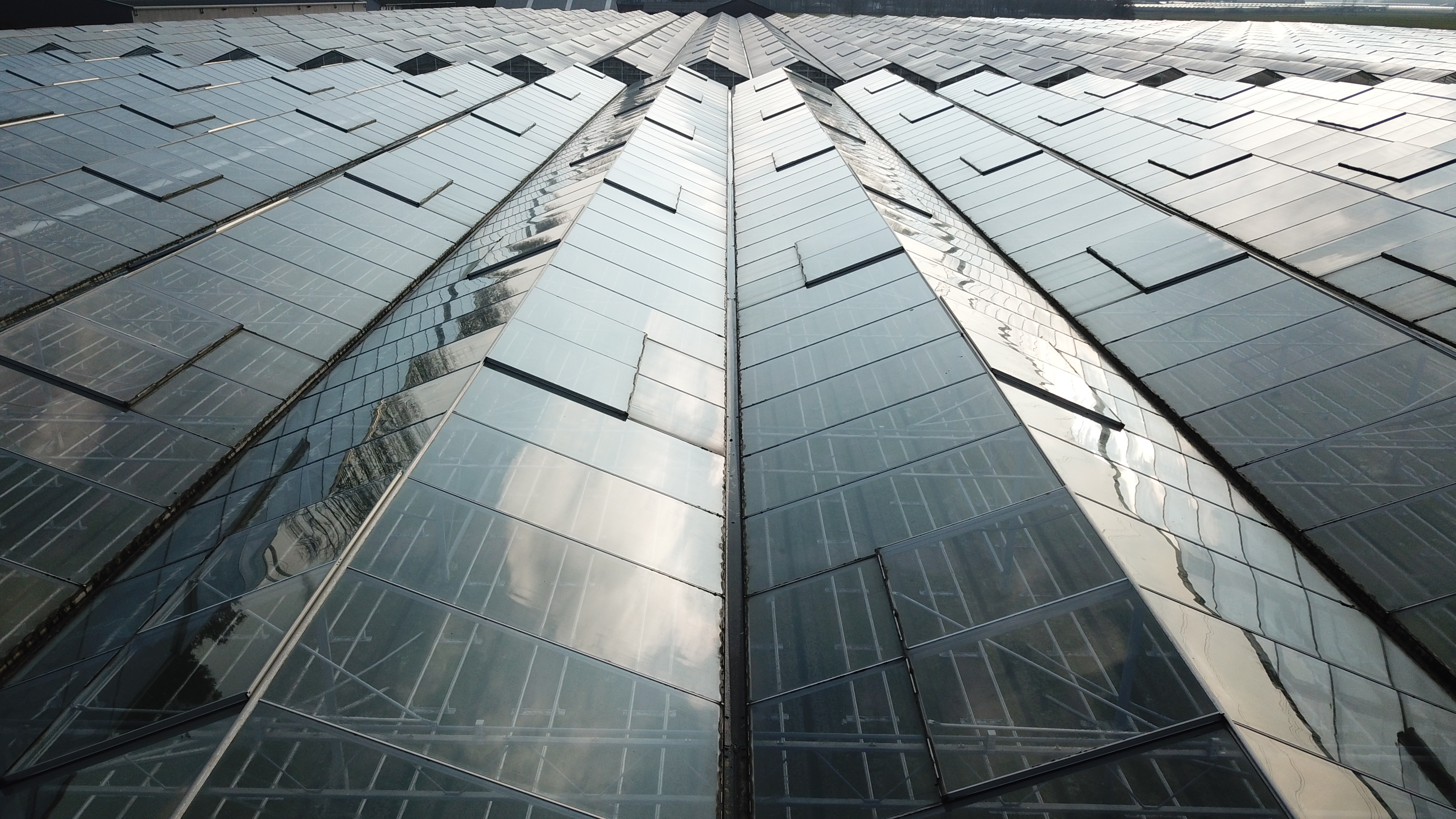 Venlo kas 8,00 m 19.008 m²