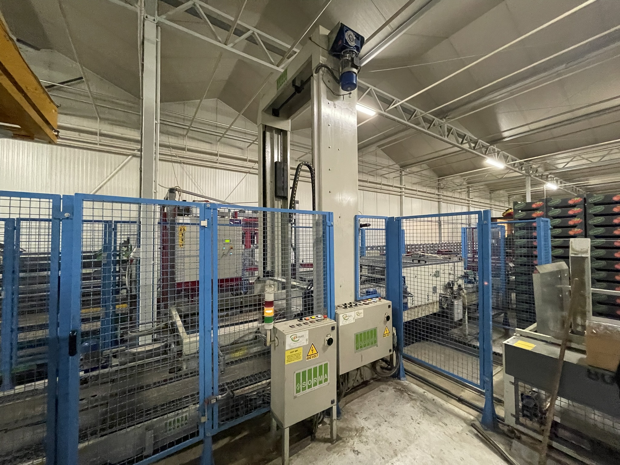 Complete vine tomato processing system