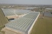 Venlo greenhouse 8,00 m 7.025 m²