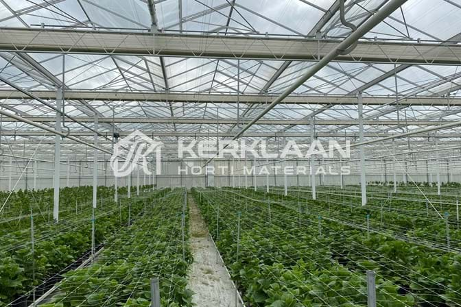 Venlo greenhouse 9,60 m 11.794 m²