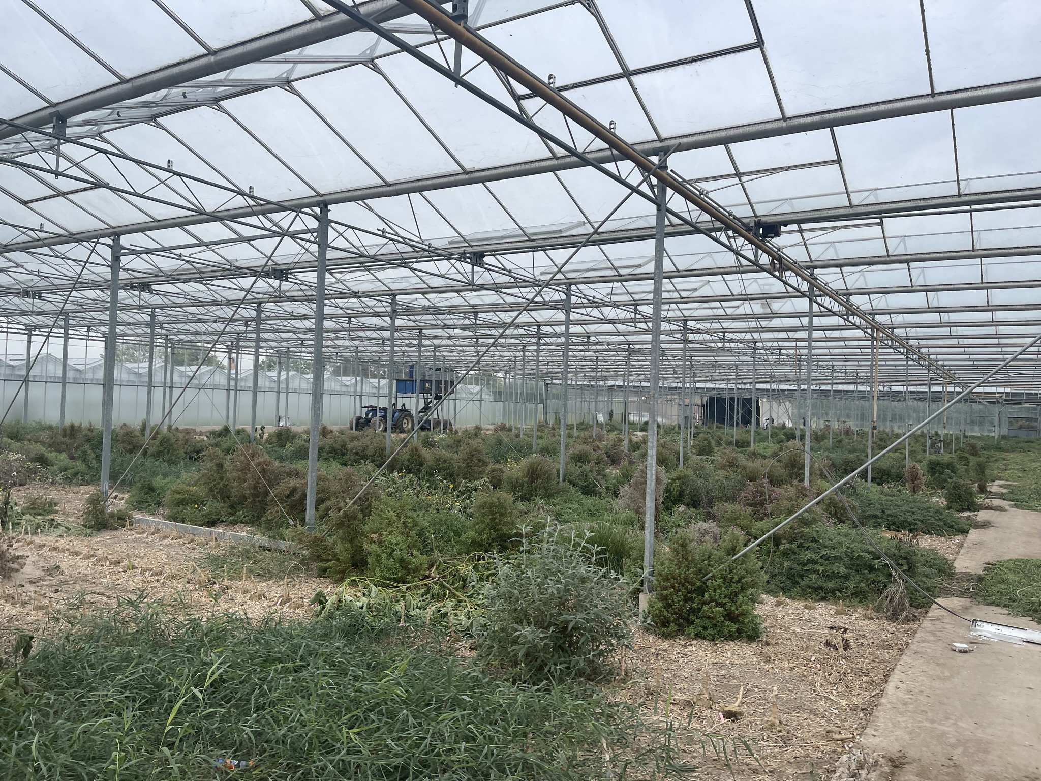 Venlo greenhouse 6,40 m 6.048 m²