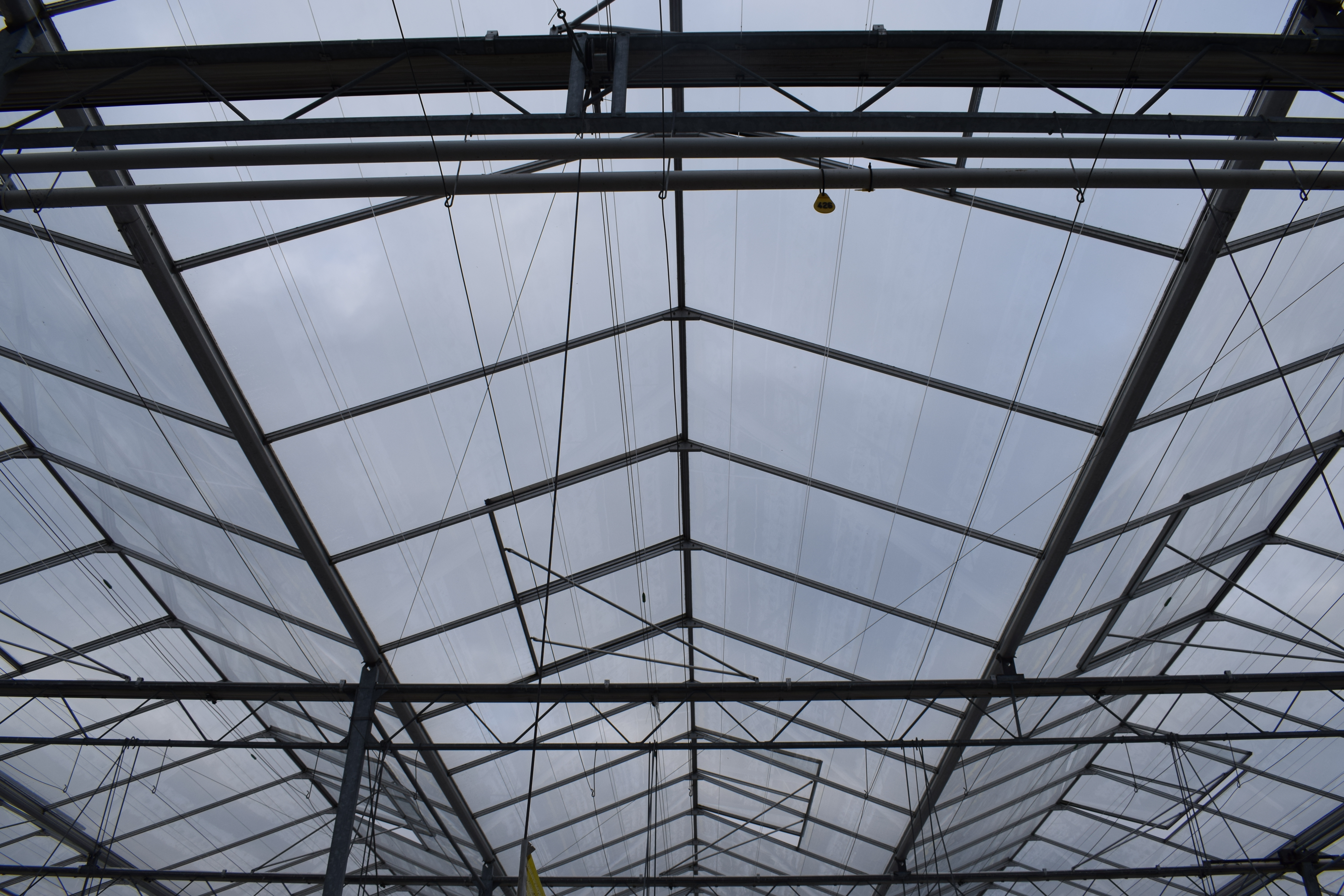 Venlo kas 8,00 m 36.543 m²