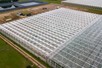 Venlo greenhouse 8,00 m 9.918 m²