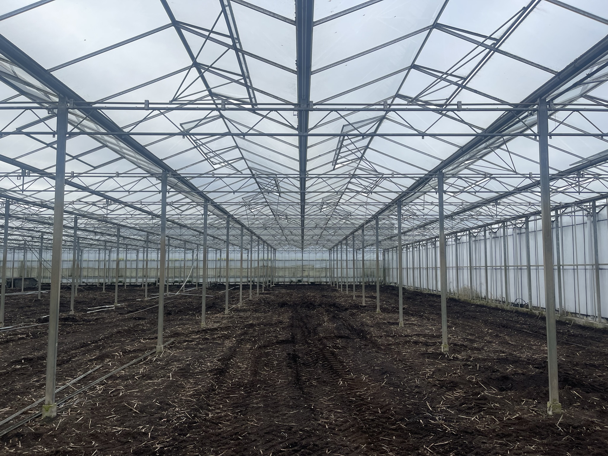 Venlo greenhouse 6,40 m 16.418 m²