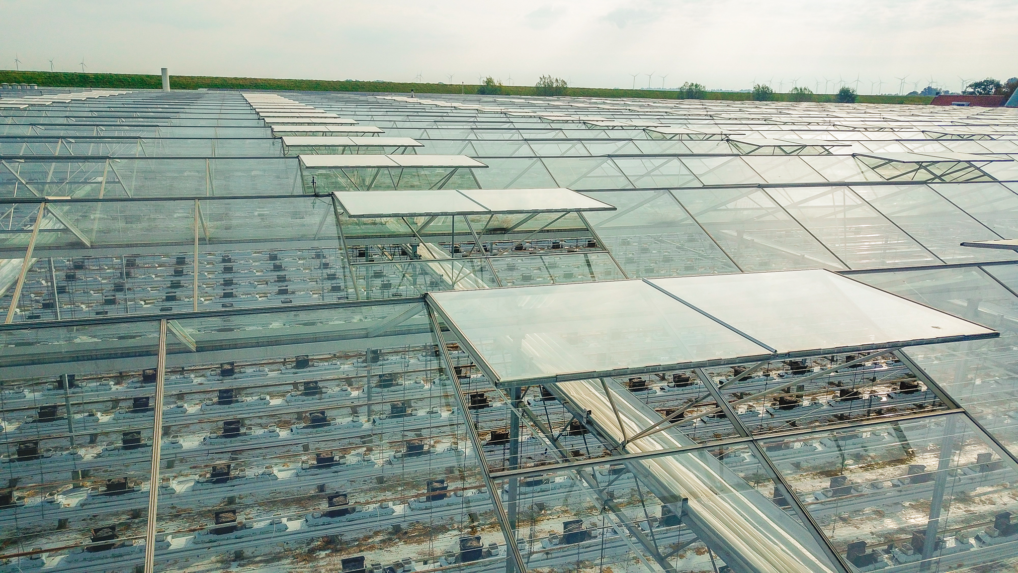 Venlo greenhouse 8,00 m 18.980 m²