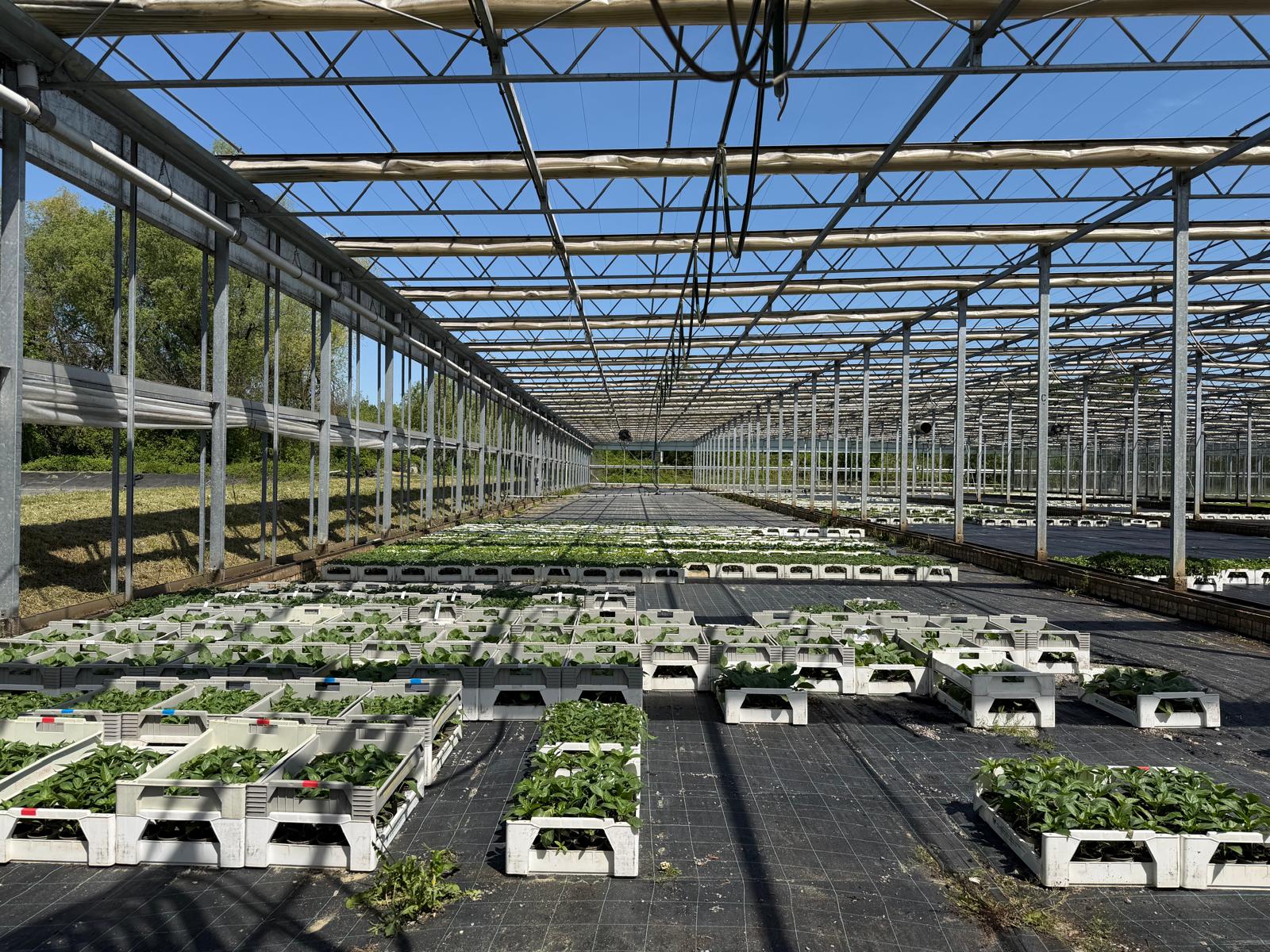 Shading greenhouse 7.517 m²